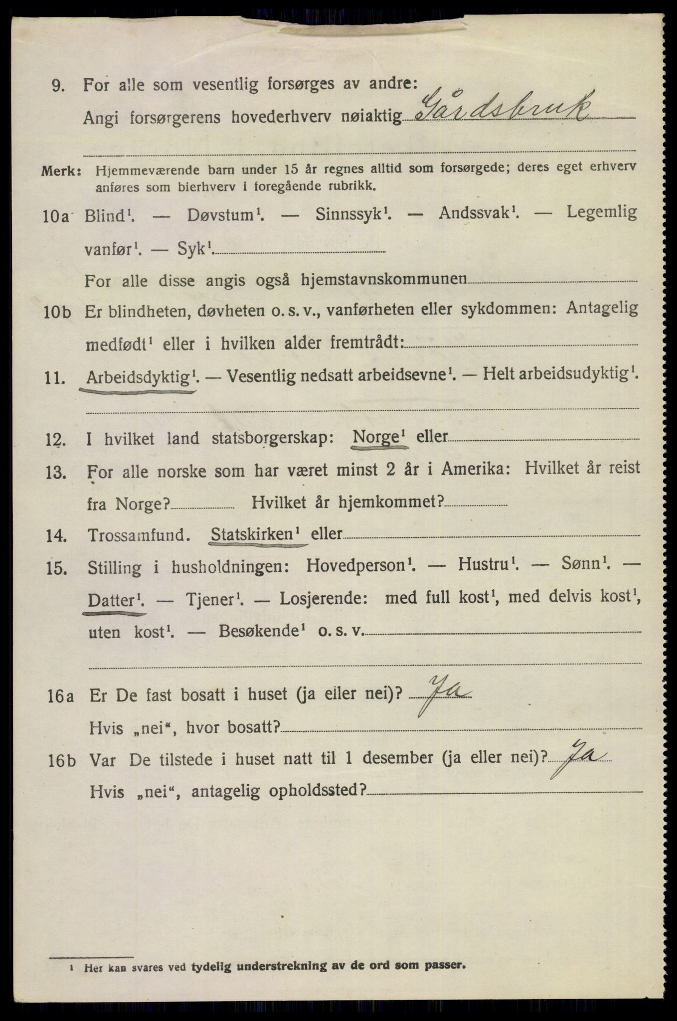 SAKO, 1920 census for Gjerpen, 1920, p. 13913