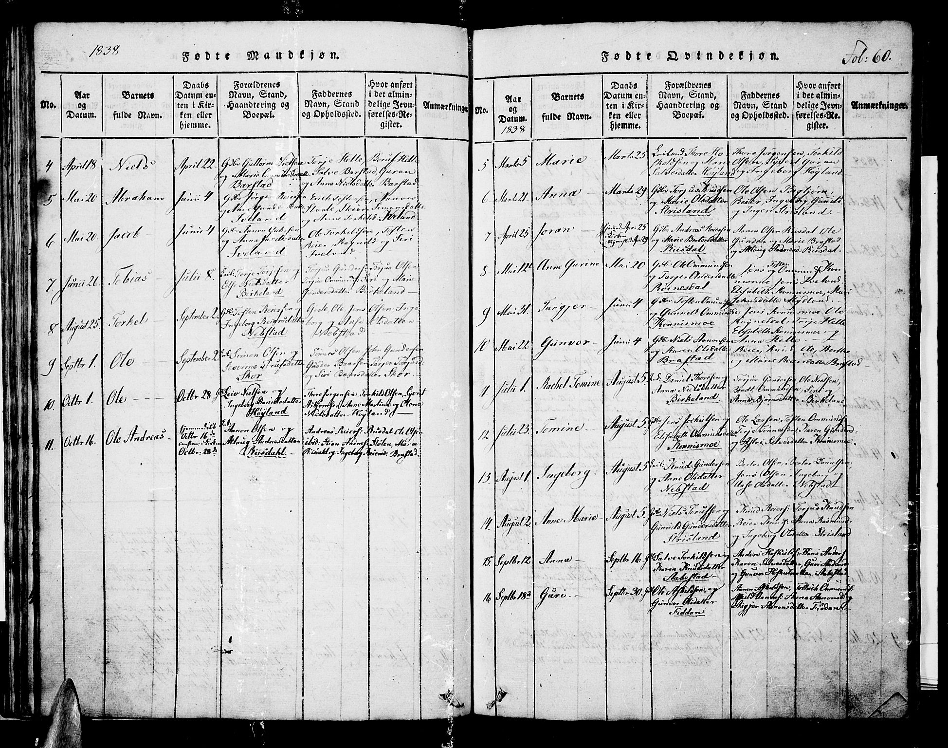 Nord-Audnedal sokneprestkontor, AV/SAK-1111-0032/F/Fb/Fba/L0001: Parish register (copy) no. B 1, 1815-1856, p. 60