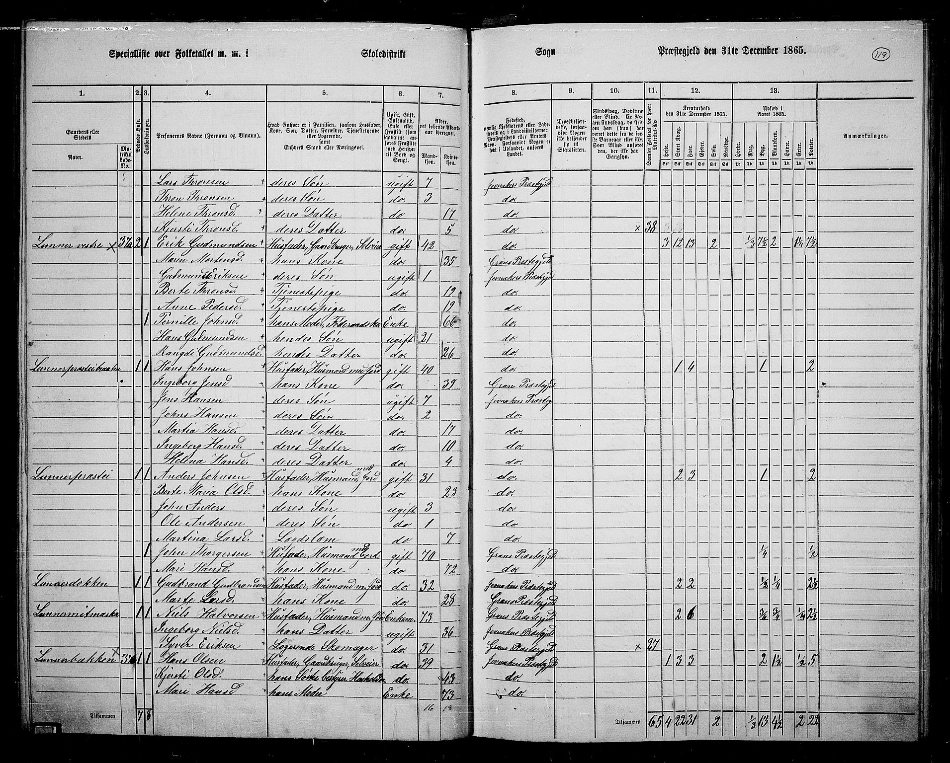 RA, 1865 census for Jevnaker, 1865, p. 113