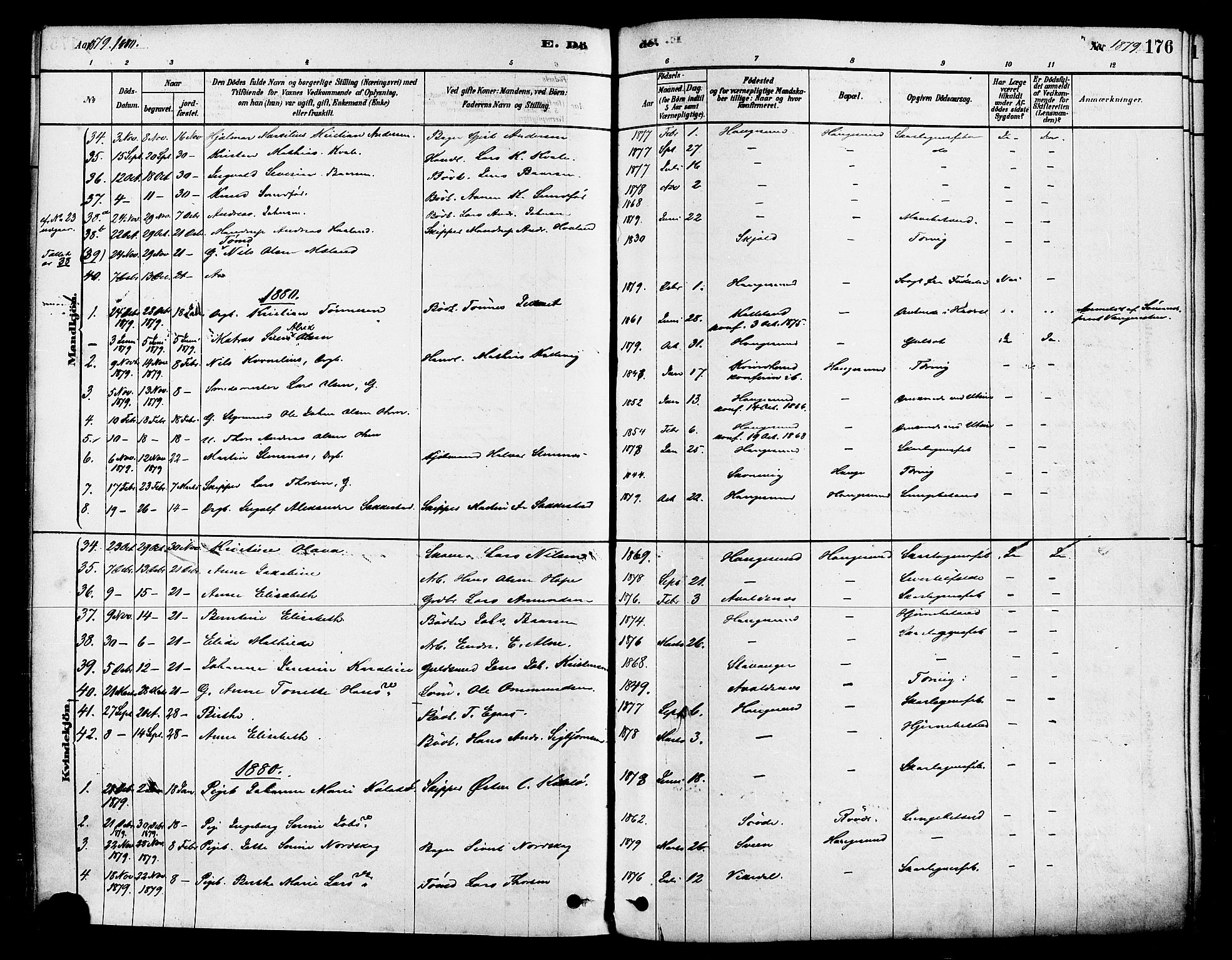 Haugesund sokneprestkontor, SAST/A -101863/H/Ha/Haa/L0001: Parish register (official) no. A 1, 1878-1885, p. 176