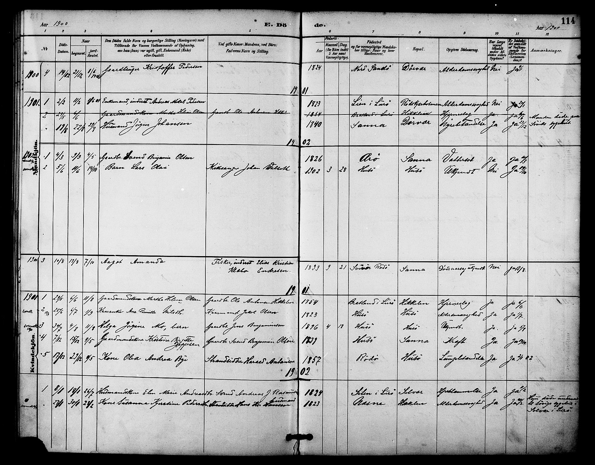 Ministerialprotokoller, klokkerbøker og fødselsregistre - Nordland, SAT/A-1459/840/L0580: Parish register (official) no. 840A02, 1887-1909, p. 114