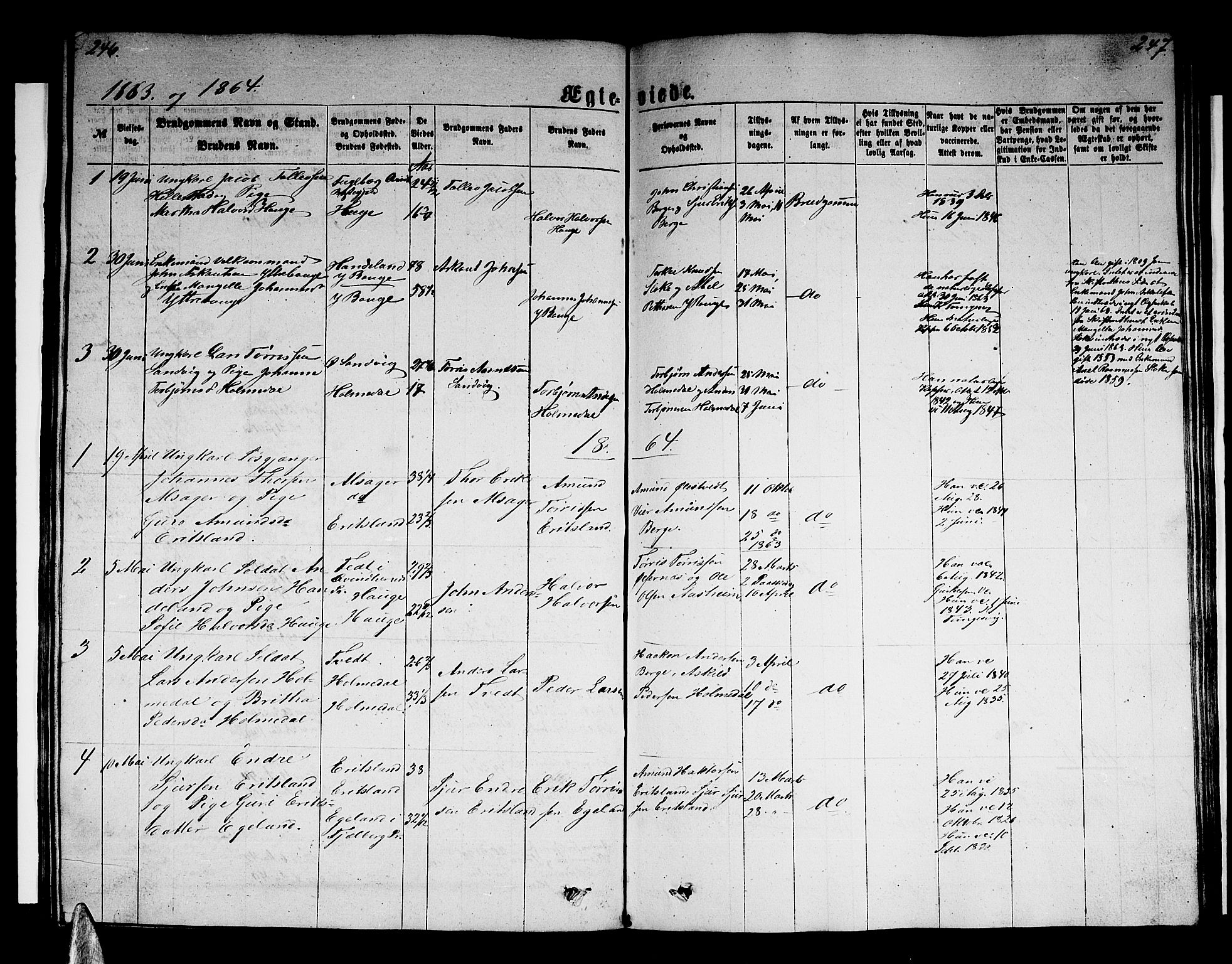 Husnes Sokneprestembete, SAB/A-75901/H/Hab: Parish register (copy) no. B 1, 1860-1883, p. 246-247