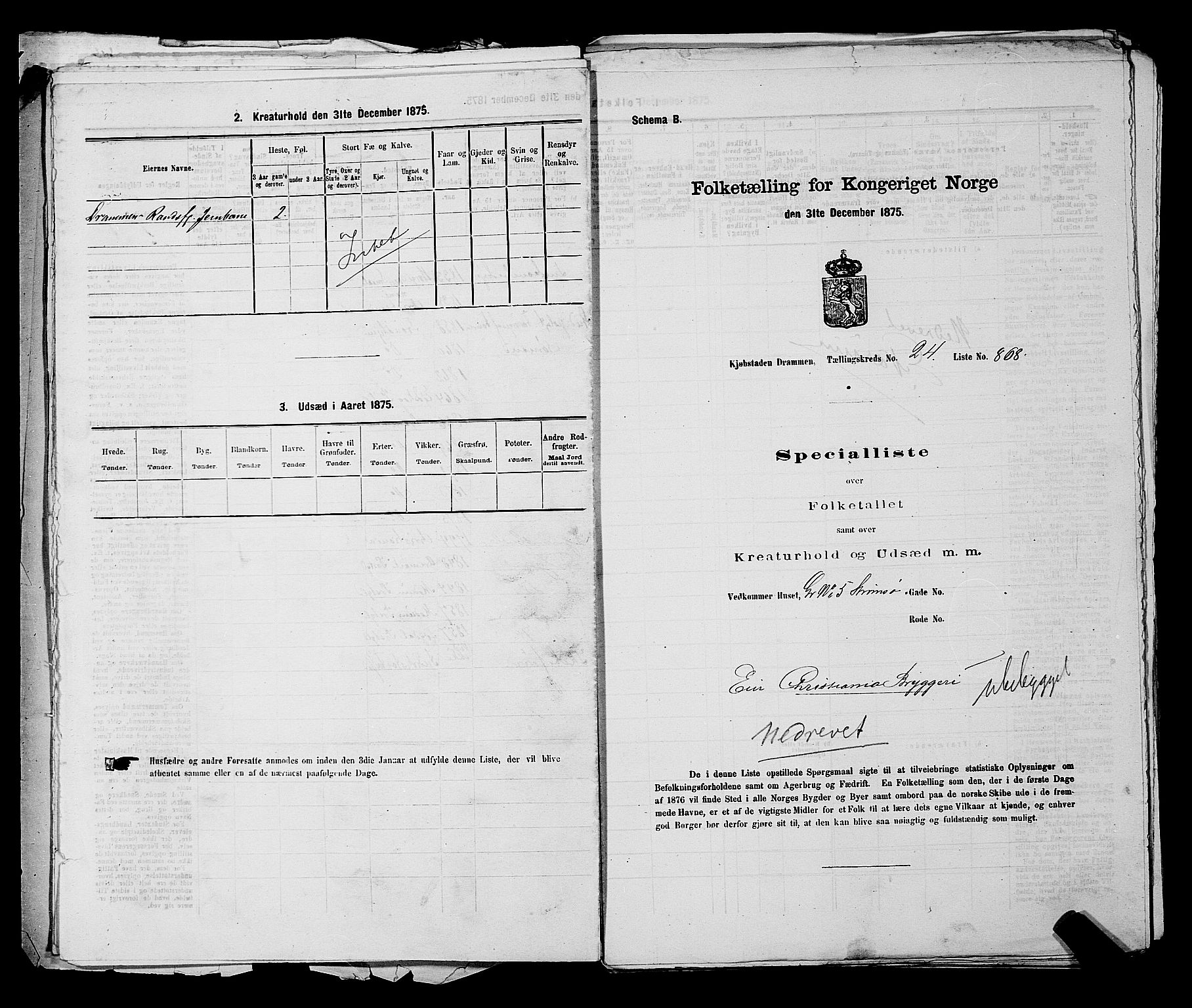 SAKO, 1875 census for 0602 Drammen, 1875, p. 2383