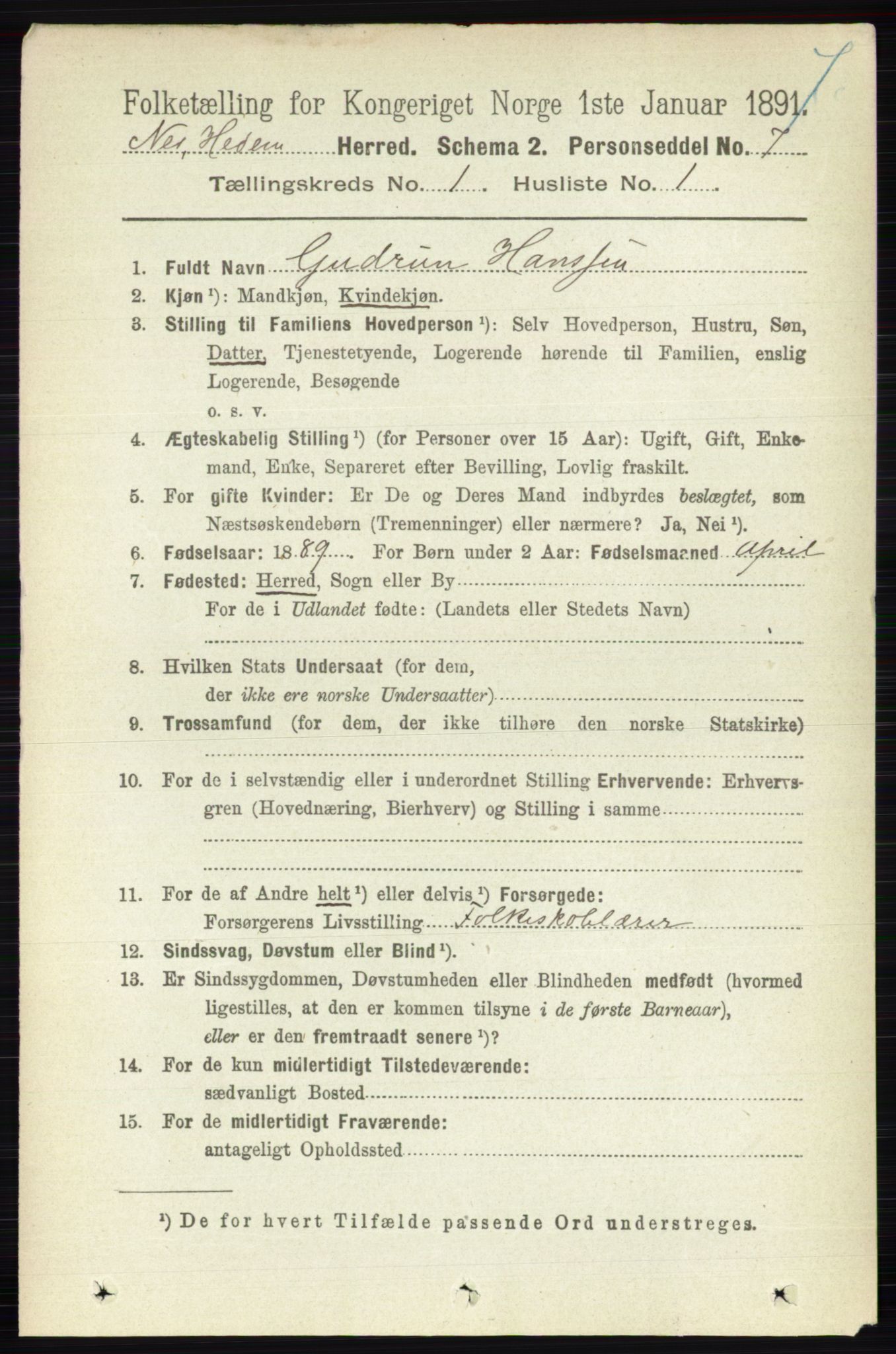 RA, 1891 census for 0411 Nes, 1891, p. 165