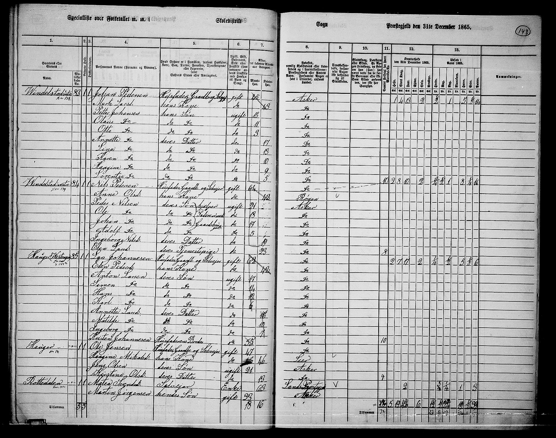 RA, 1865 census for Asker, 1865, p. 138