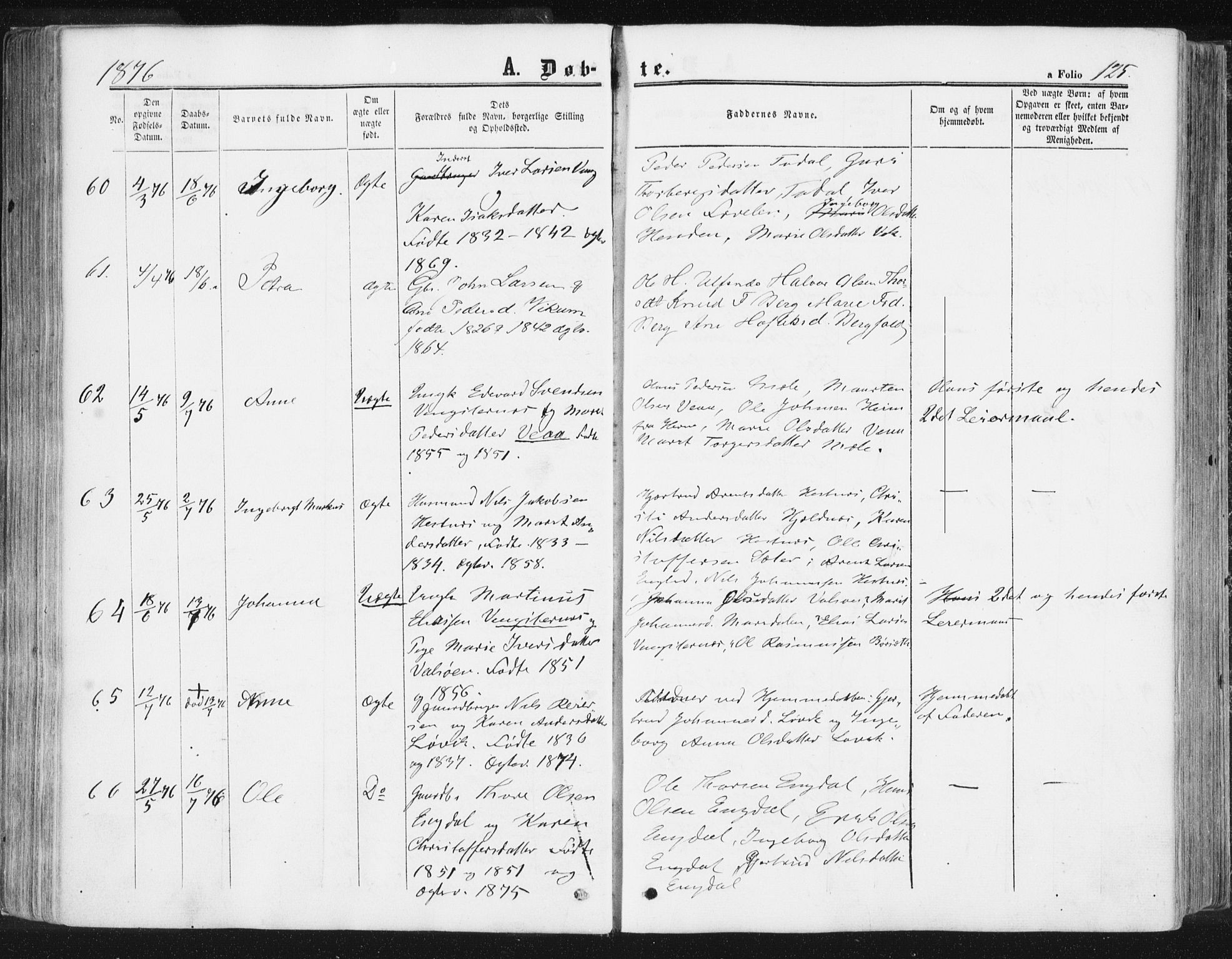 Ministerialprotokoller, klokkerbøker og fødselsregistre - Møre og Romsdal, SAT/A-1454/578/L0905: Parish register (official) no. 578A04, 1859-1877, p. 125