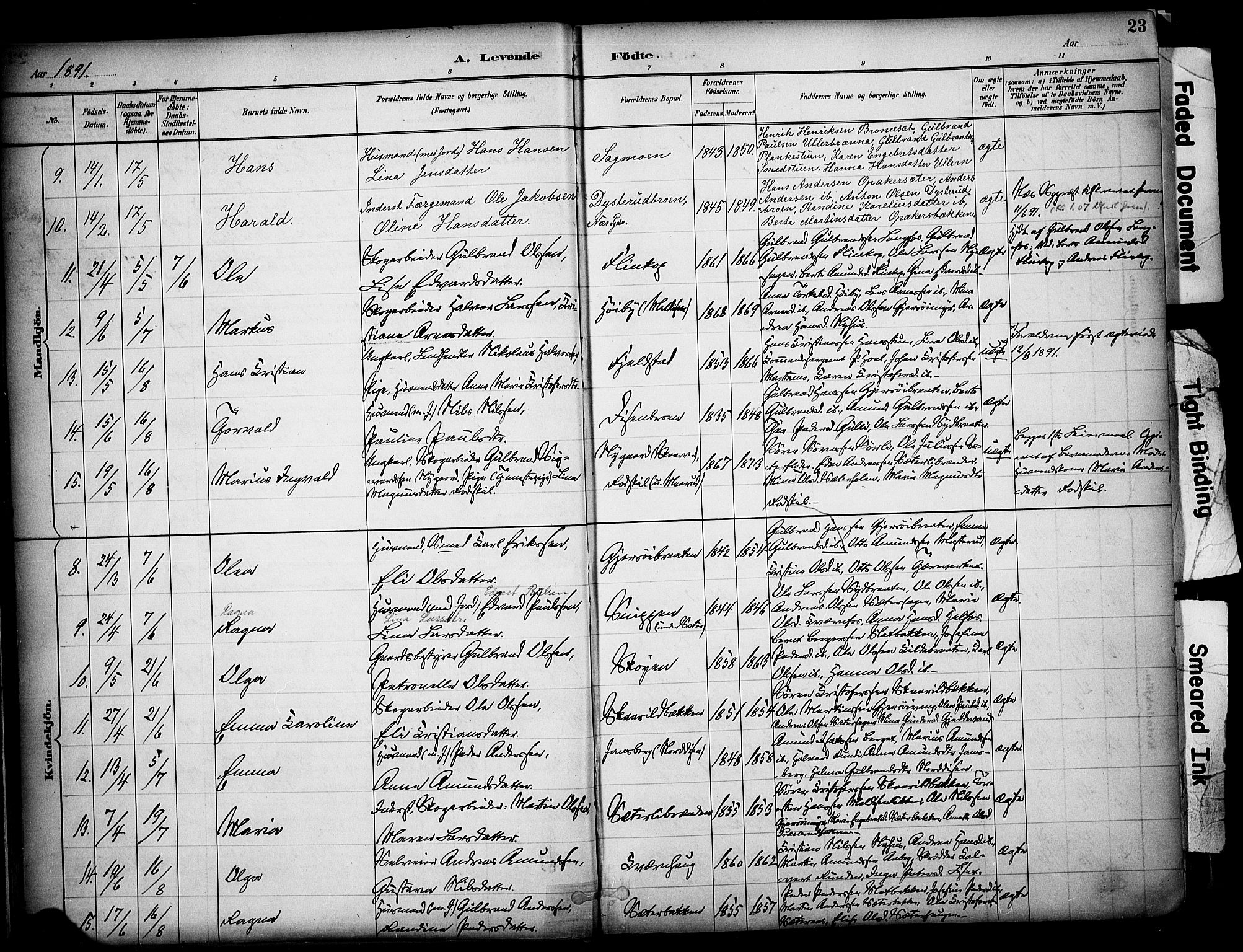 Sør-Odal prestekontor, AV/SAH-PREST-030/H/Ha/Haa/L0008: Parish register (official) no. 8, 1886-1922, p. 23