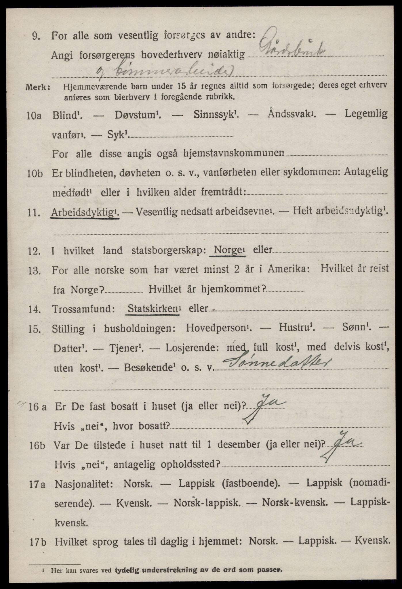 SAT, 1920 census for Selbu, 1920, p. 9721