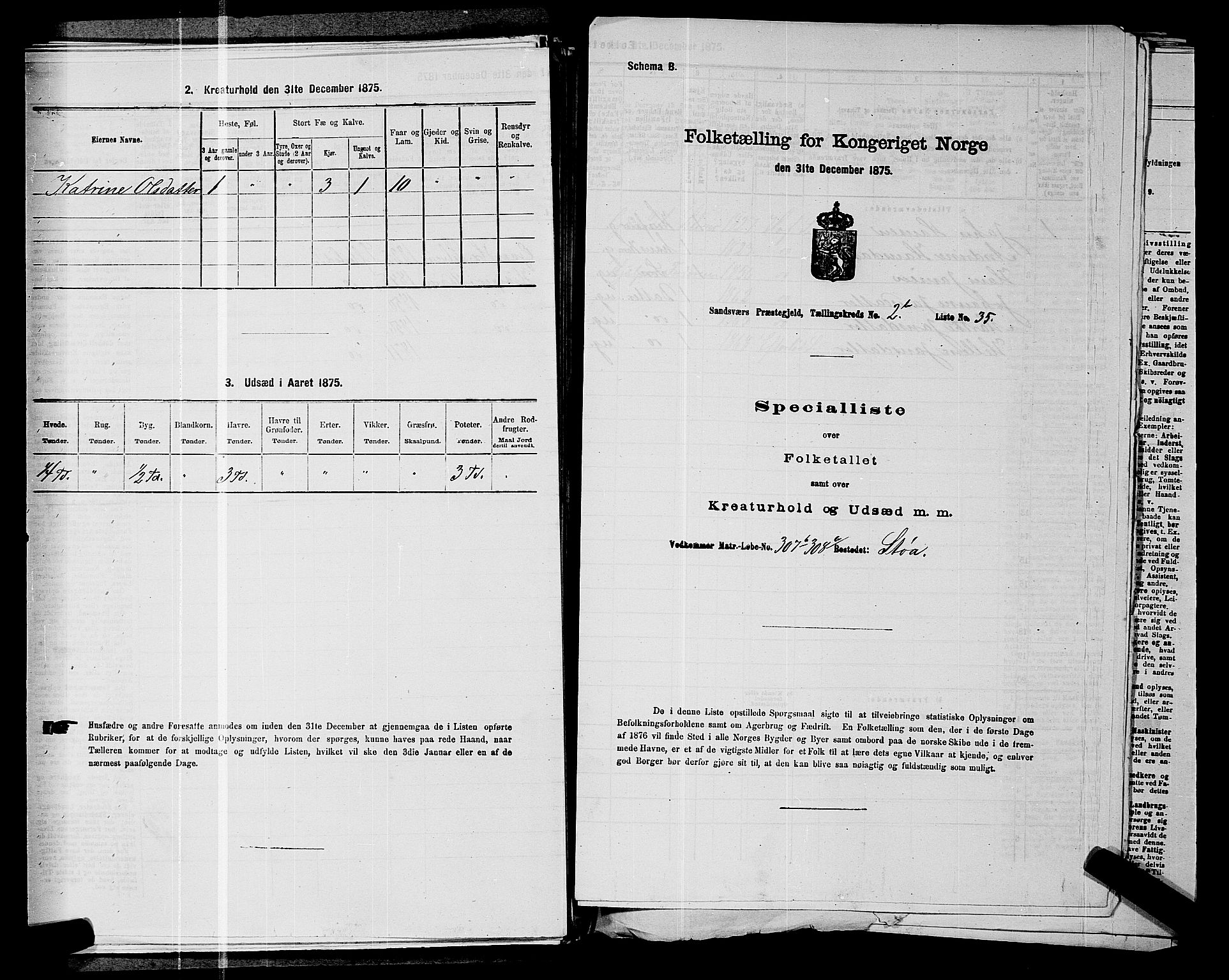 SAKO, 1875 census for 0629P Sandsvær, 1875, p. 528