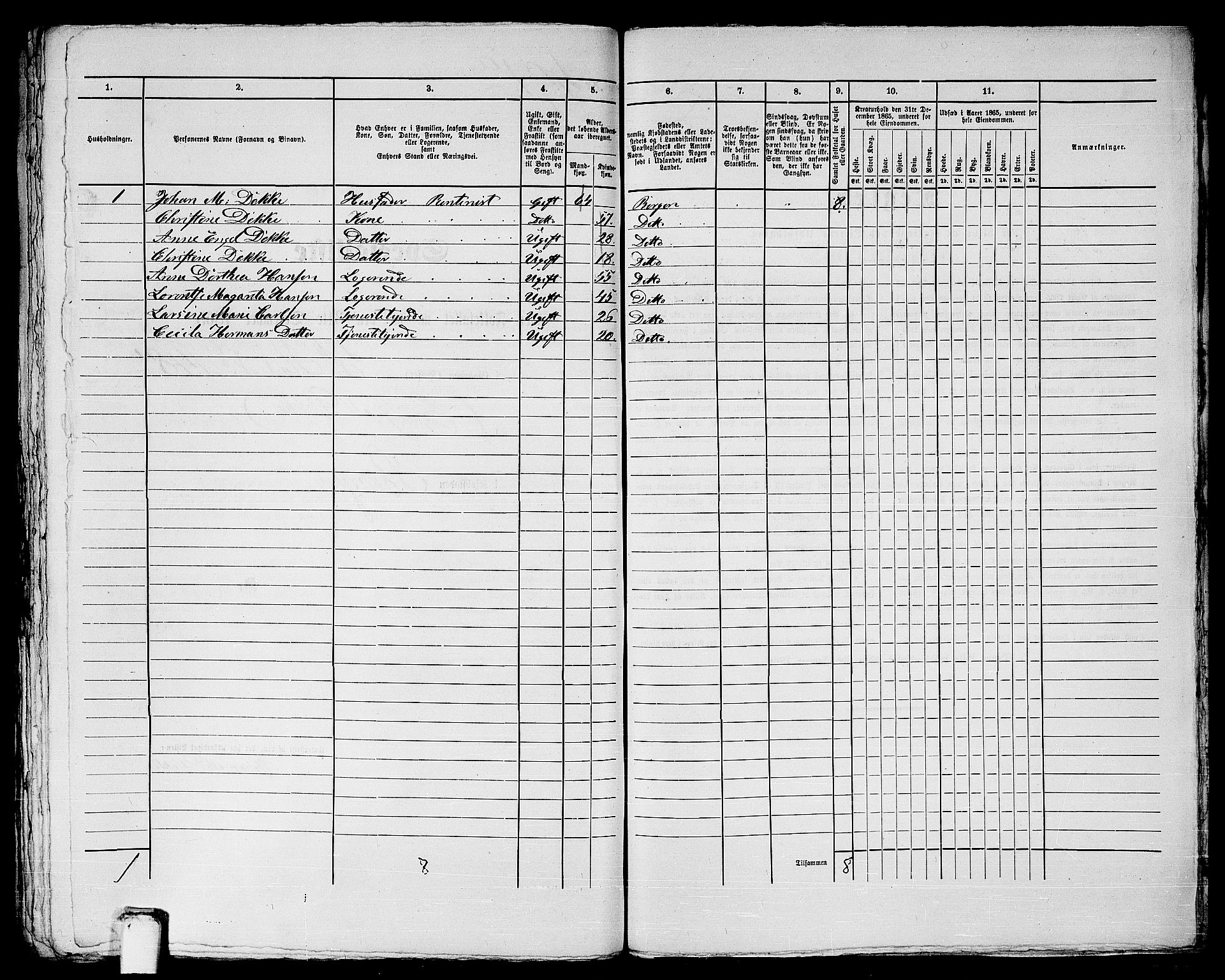 RA, 1865 census for Bergen, 1865, p. 1041