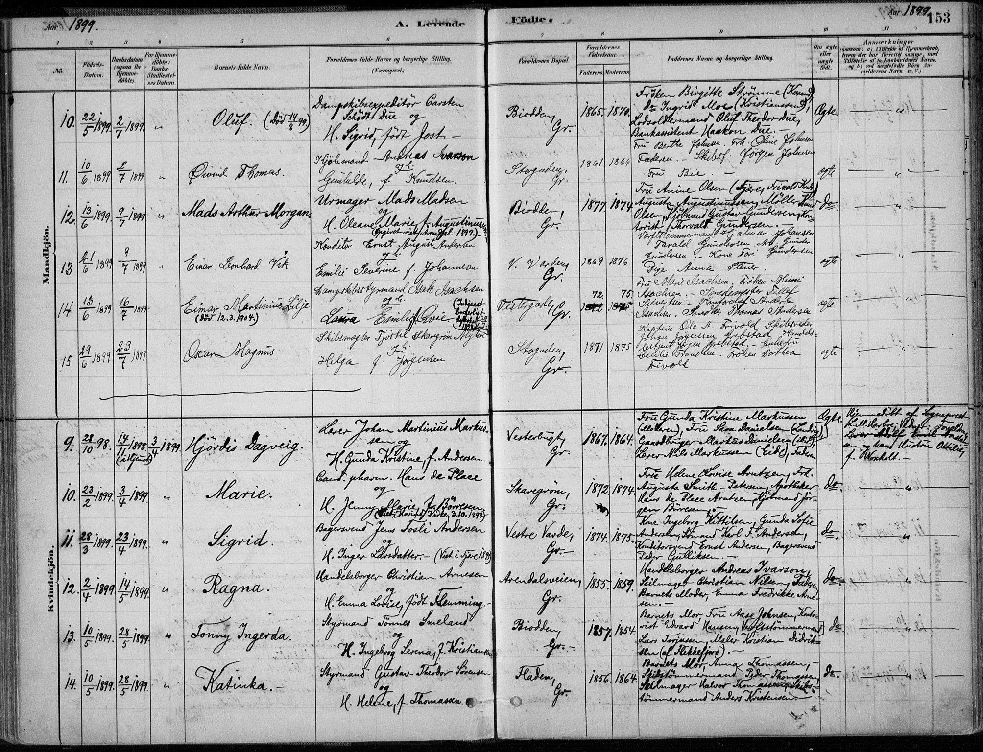 Grimstad sokneprestkontor, AV/SAK-1111-0017/F/Fa/L0003: Parish register (official) no. A 2, 1882-1912, p. 153