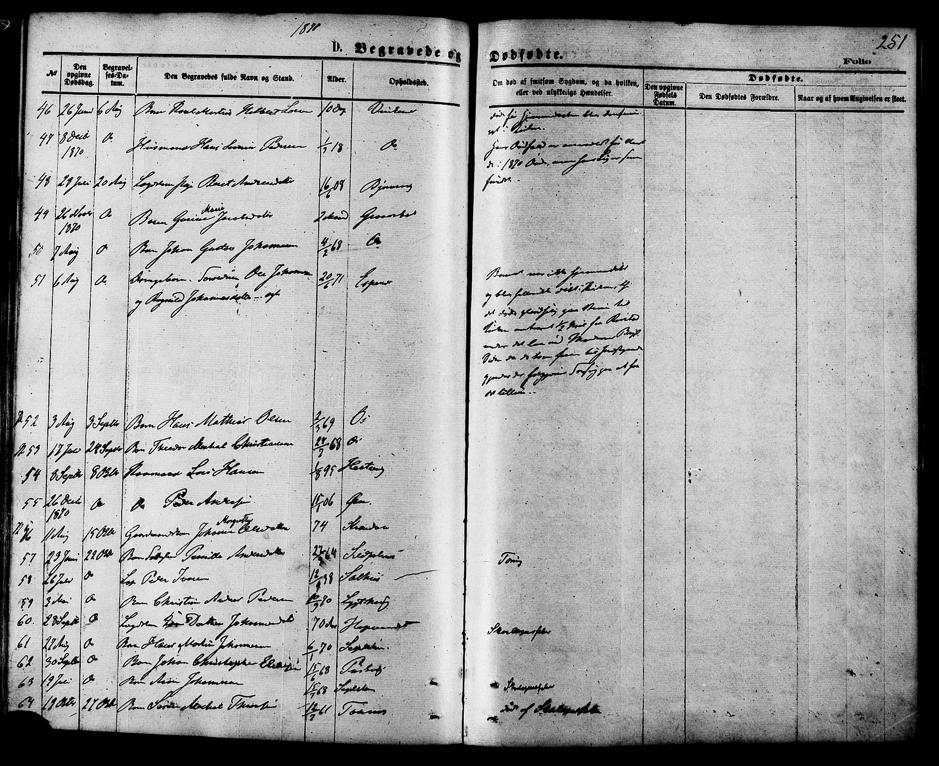 Ministerialprotokoller, klokkerbøker og fødselsregistre - Nordland, AV/SAT-A-1459/853/L0771: Parish register (official) no. 853A10, 1870-1881, p. 251