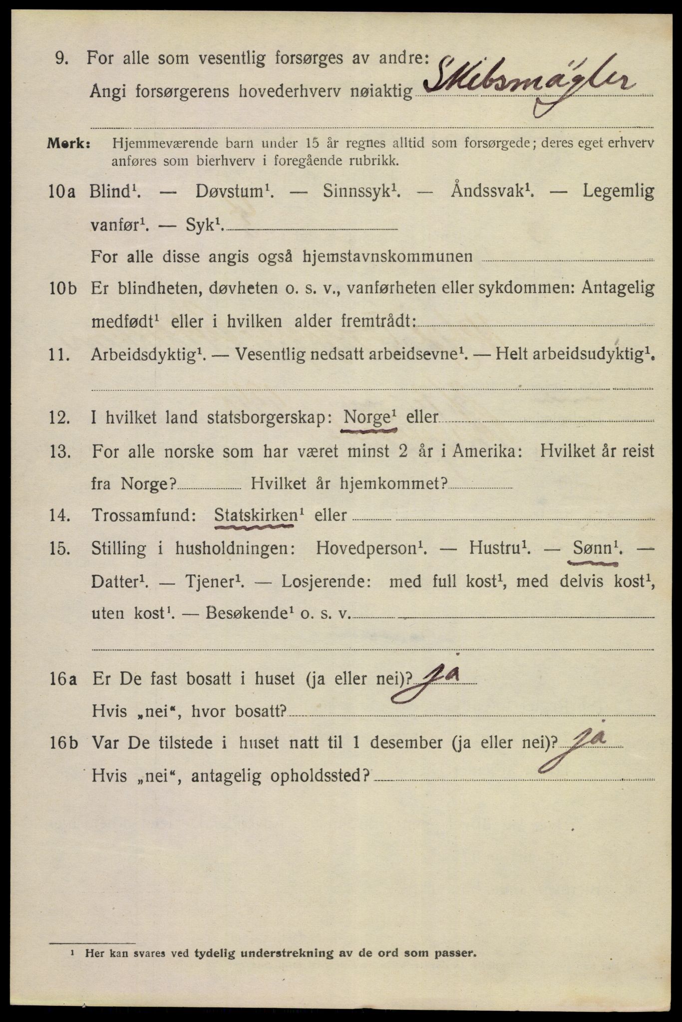 SAKO, 1920 census for Porsgrunn, 1920, p. 11450