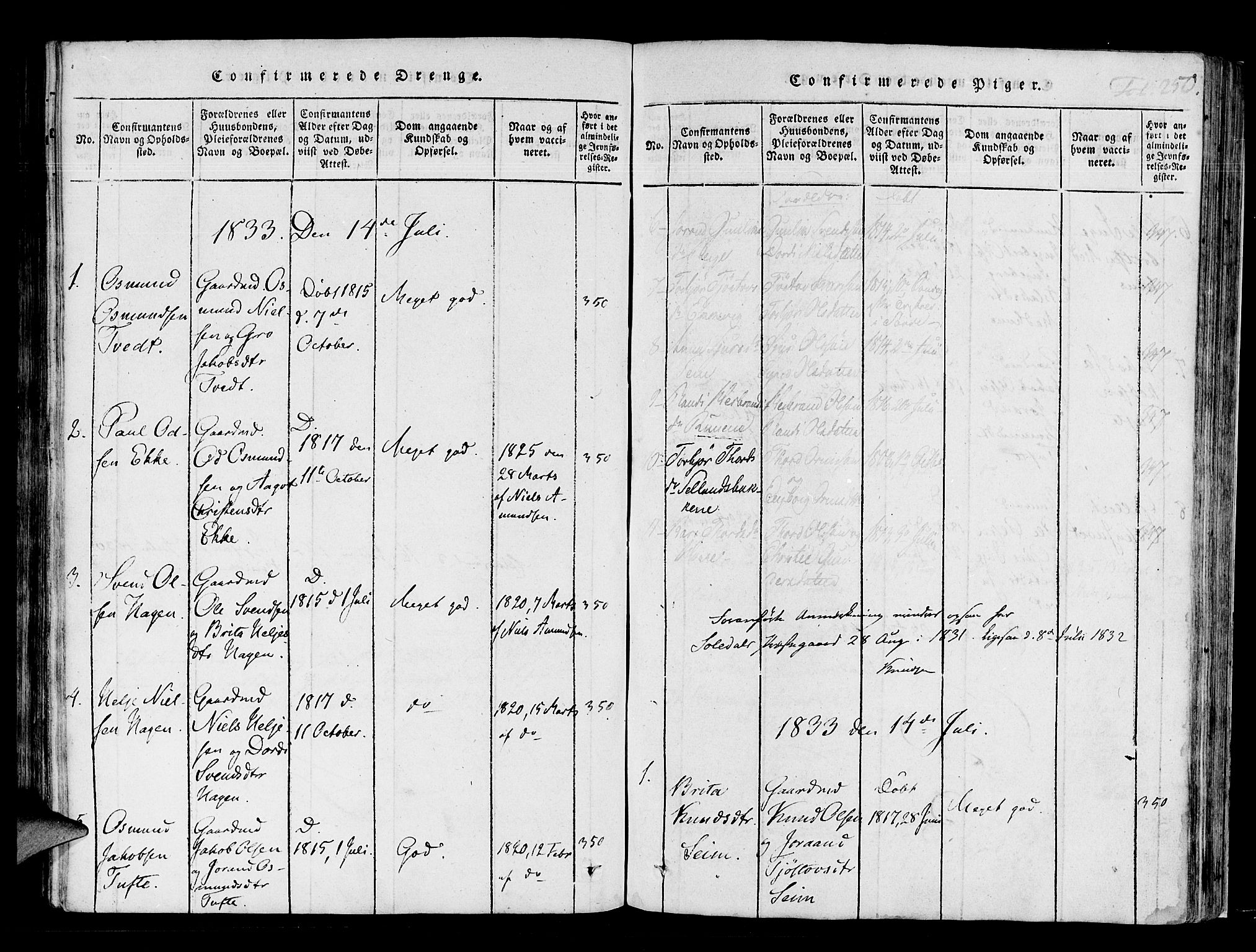 Røldal sokneprestembete, SAB/A-100247: Parish register (official) no. A 2, 1817-1856, p. 250
