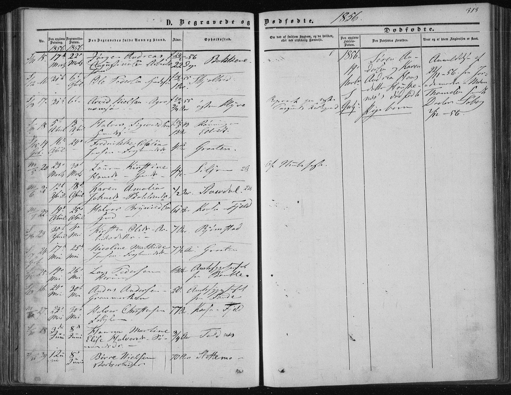 Solum kirkebøker, SAKO/A-306/F/Fa/L0007: Parish register (official) no. I 7, 1856-1864, p. 313