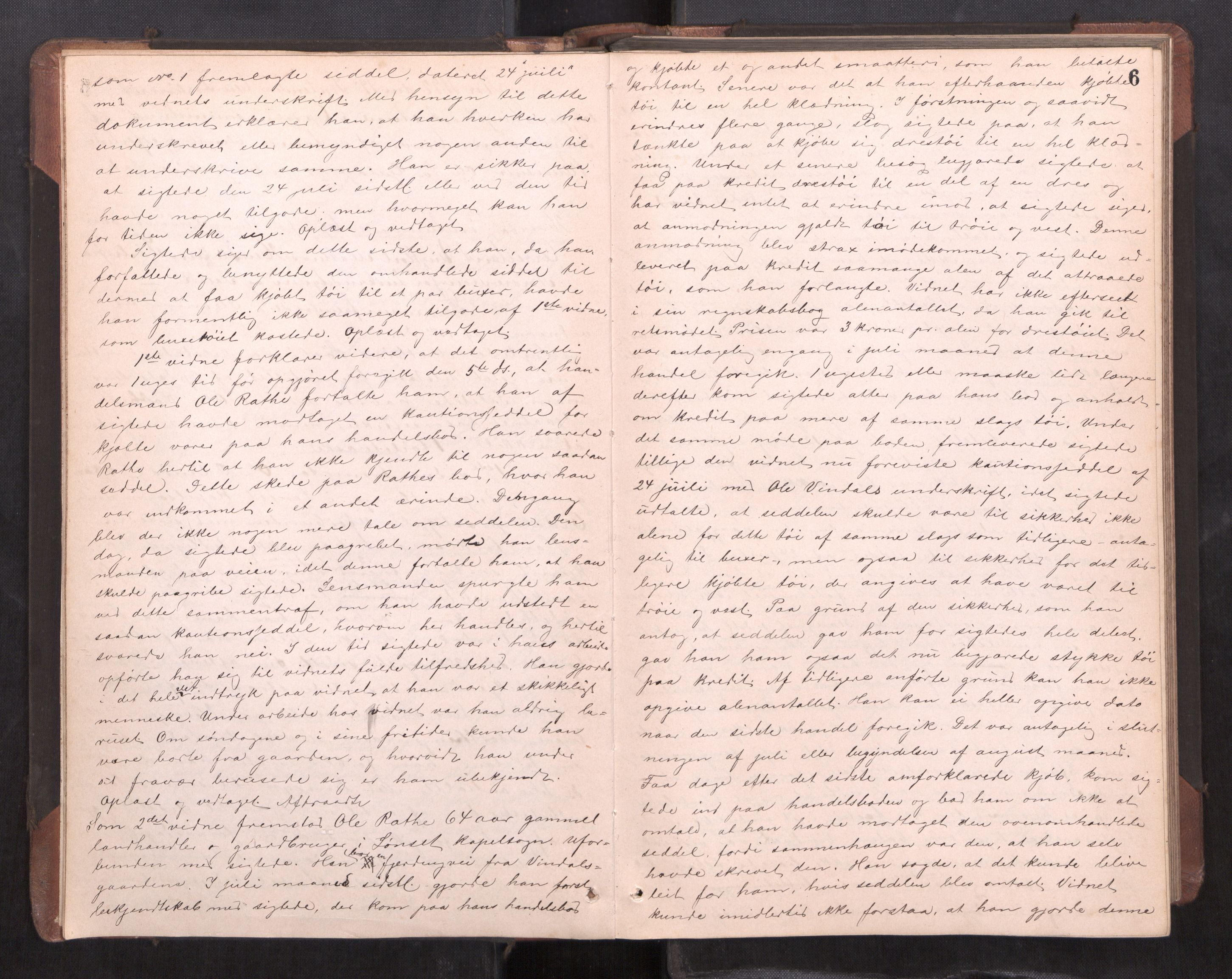 Orkdal sorenskriveri, AV/SAT-A-4169/1/1/1B/L0021: Ekstrarettsprotokoll, 1892-1897, p. 5b-6a