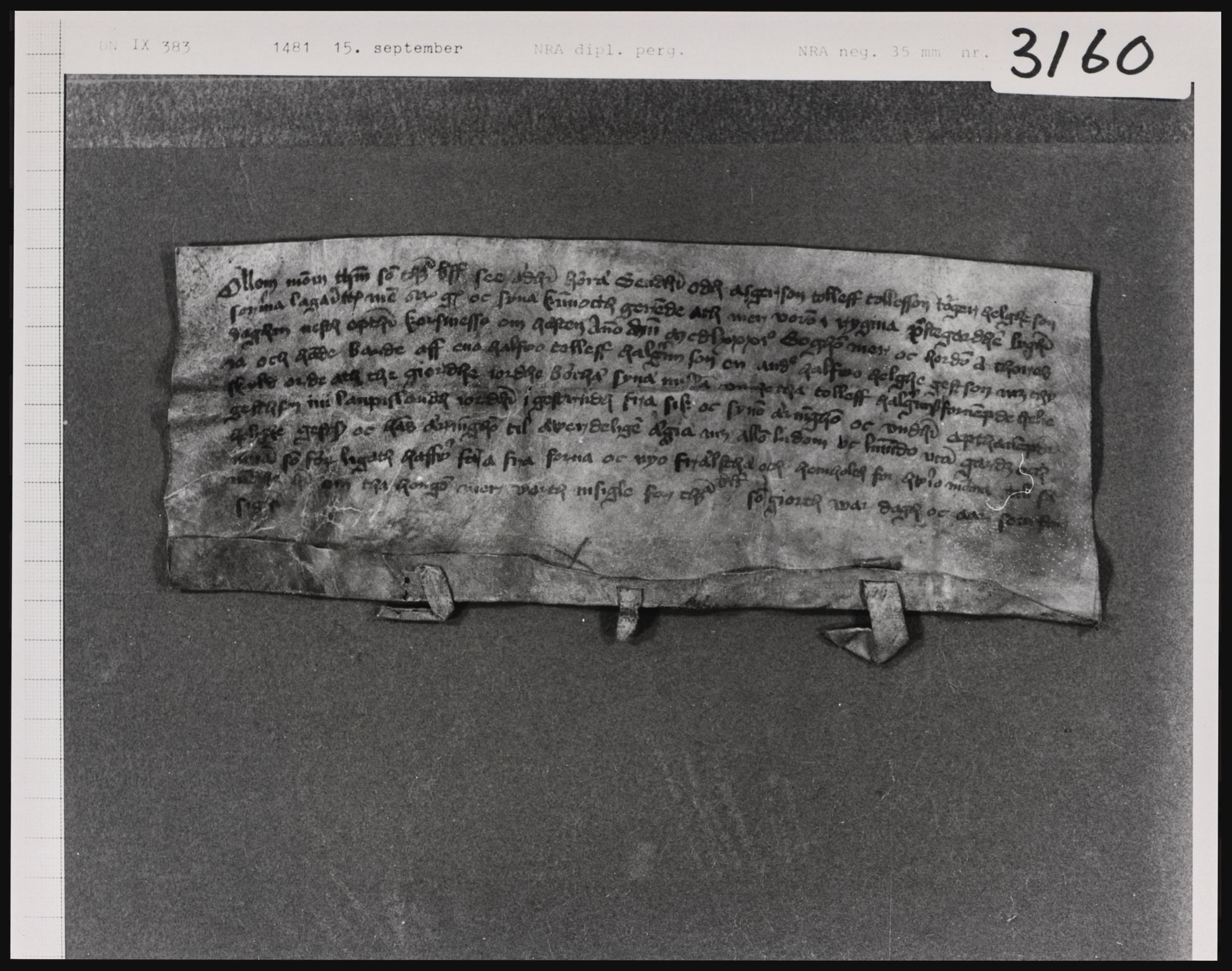Riksarkivets diplomsamling, AV/RA-EA-5965/F01, 1333-1571, p. 4916