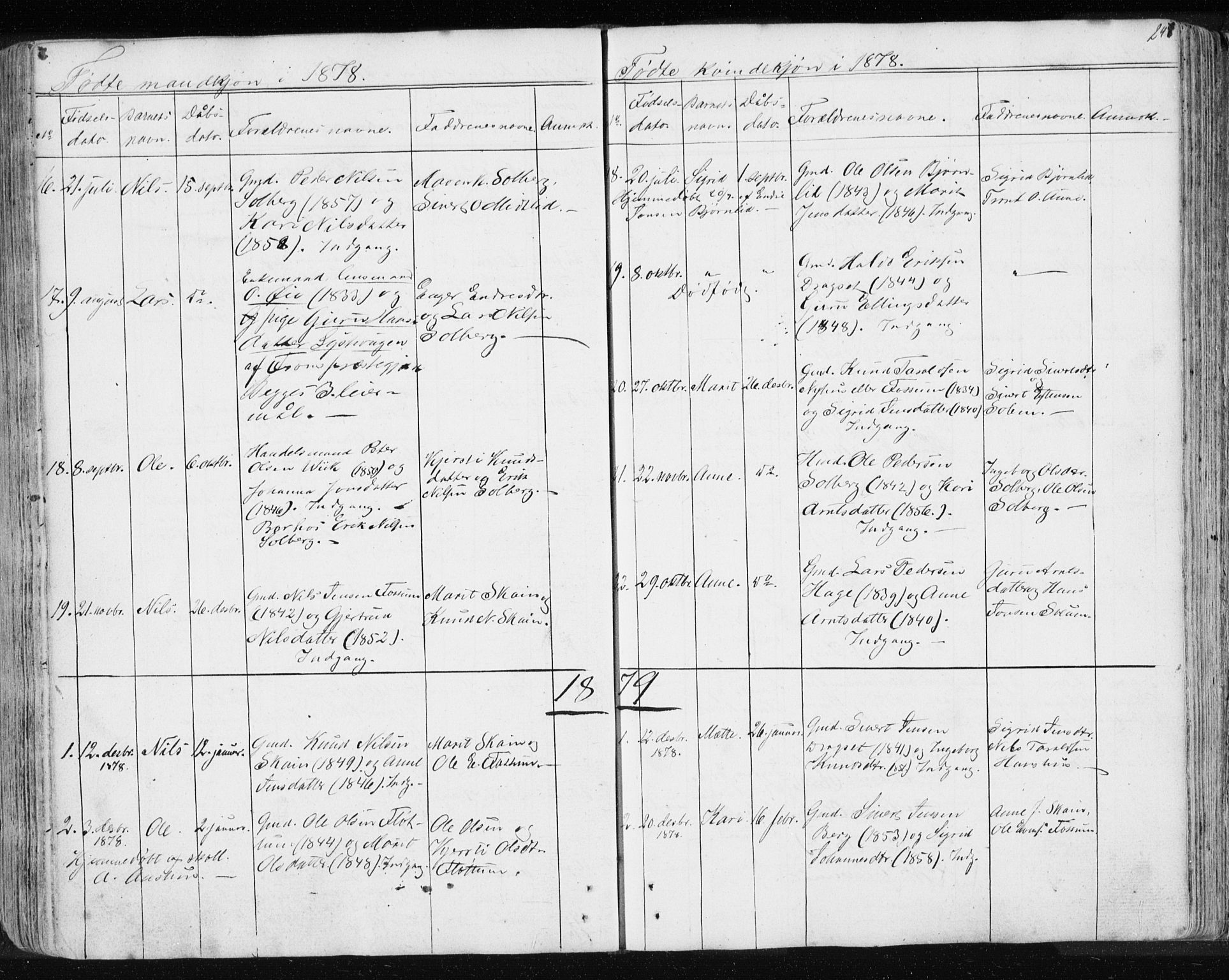 Ministerialprotokoller, klokkerbøker og fødselsregistre - Sør-Trøndelag, AV/SAT-A-1456/689/L1043: Parish register (copy) no. 689C02, 1816-1892, p. 247