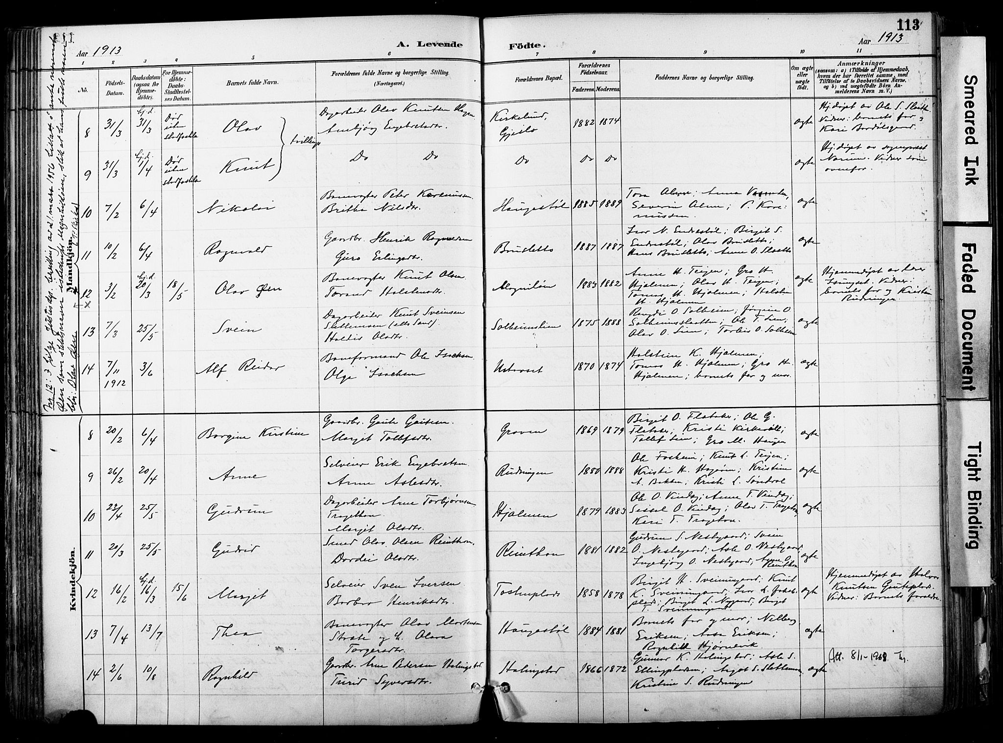 Hol kirkebøker, AV/SAKO-A-227/F/Fa/L0003: Parish register (official) no. I 3, 1887-1918, p. 113