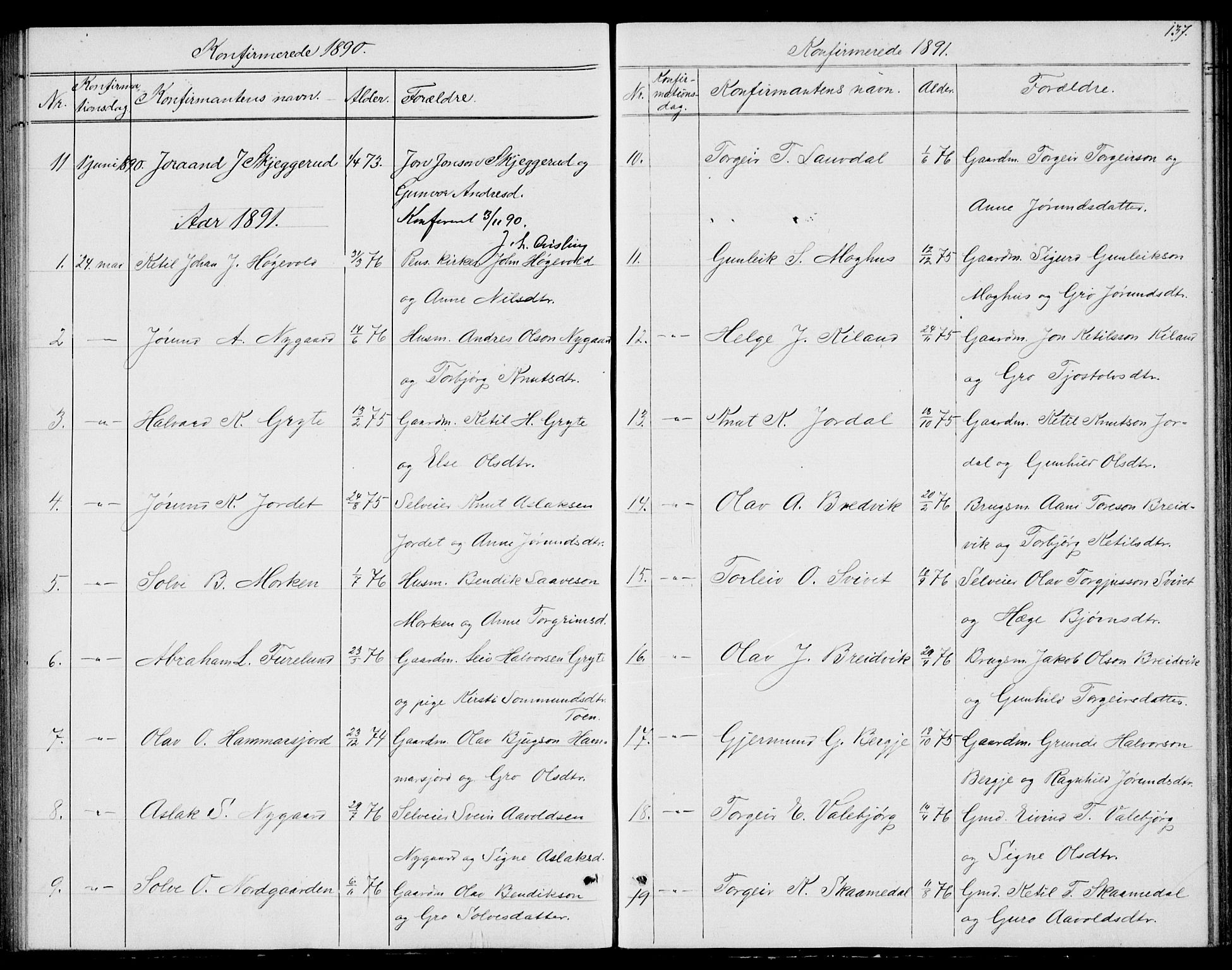 Fyresdal kirkebøker, SAKO/A-263/G/Ga/L0004: Parish register (copy) no. I 4, 1864-1892, p. 137