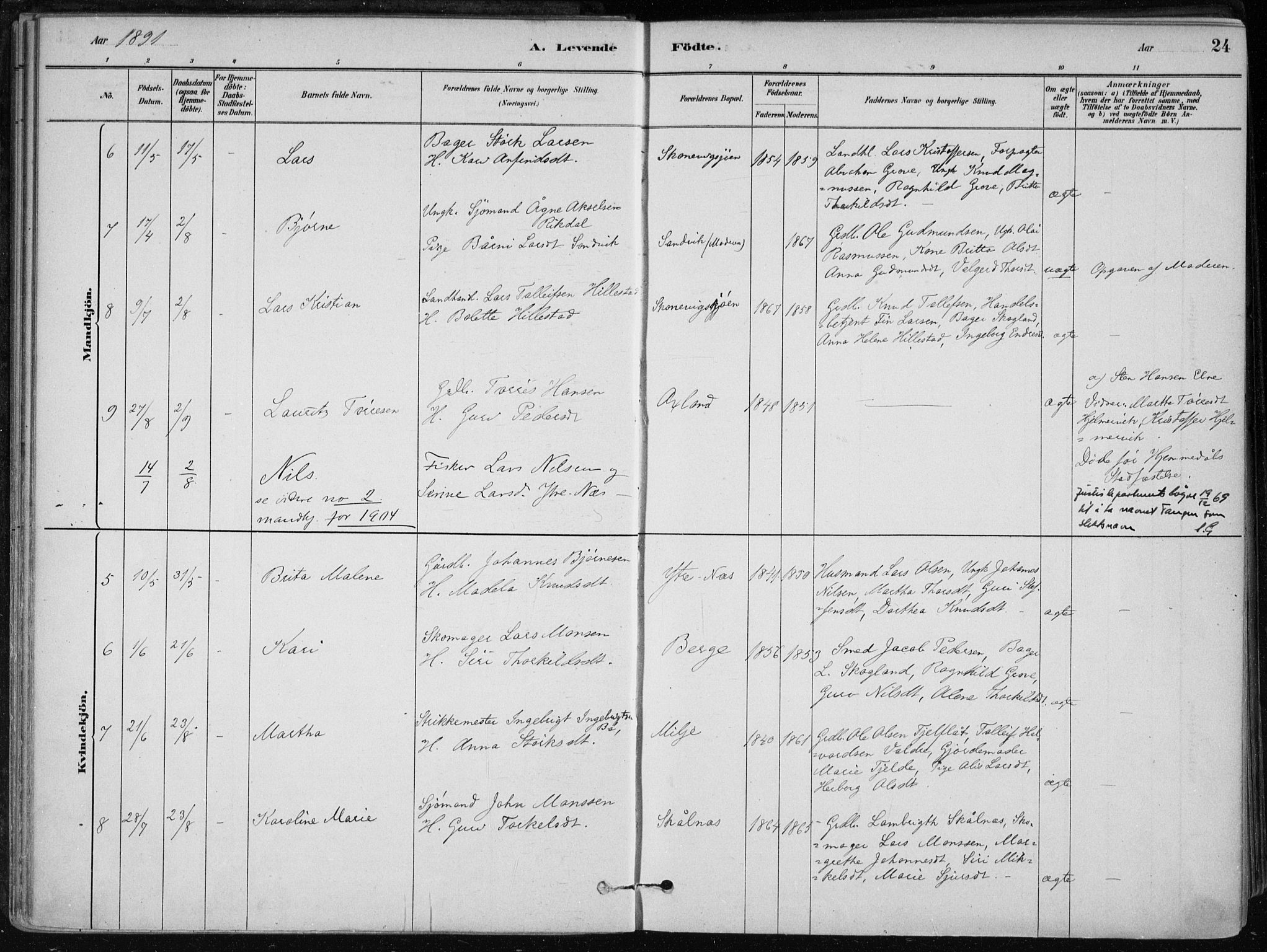 Skånevik sokneprestembete, SAB/A-77801/H/Haa: Parish register (official) no. B 1, 1879-1914, p. 24