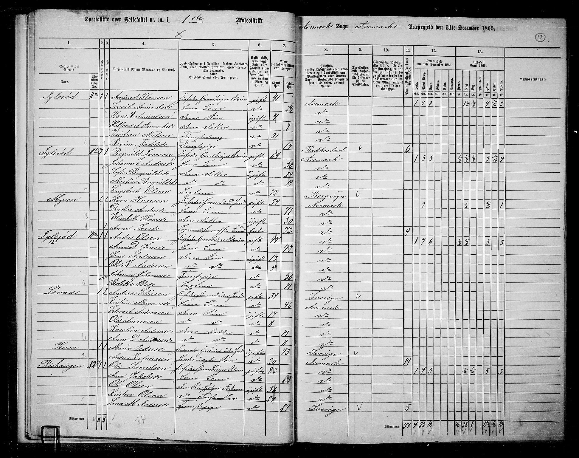 RA, 1865 census for Aremark, 1865, p. 13