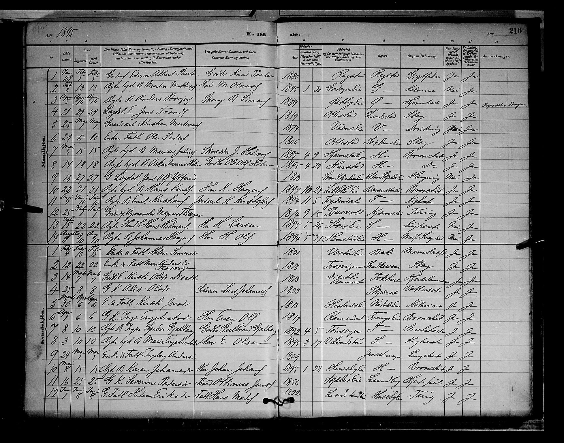 Stange prestekontor, SAH/PREST-002/L/L0009: Parish register (copy) no. 9, 1883-1899, p. 216