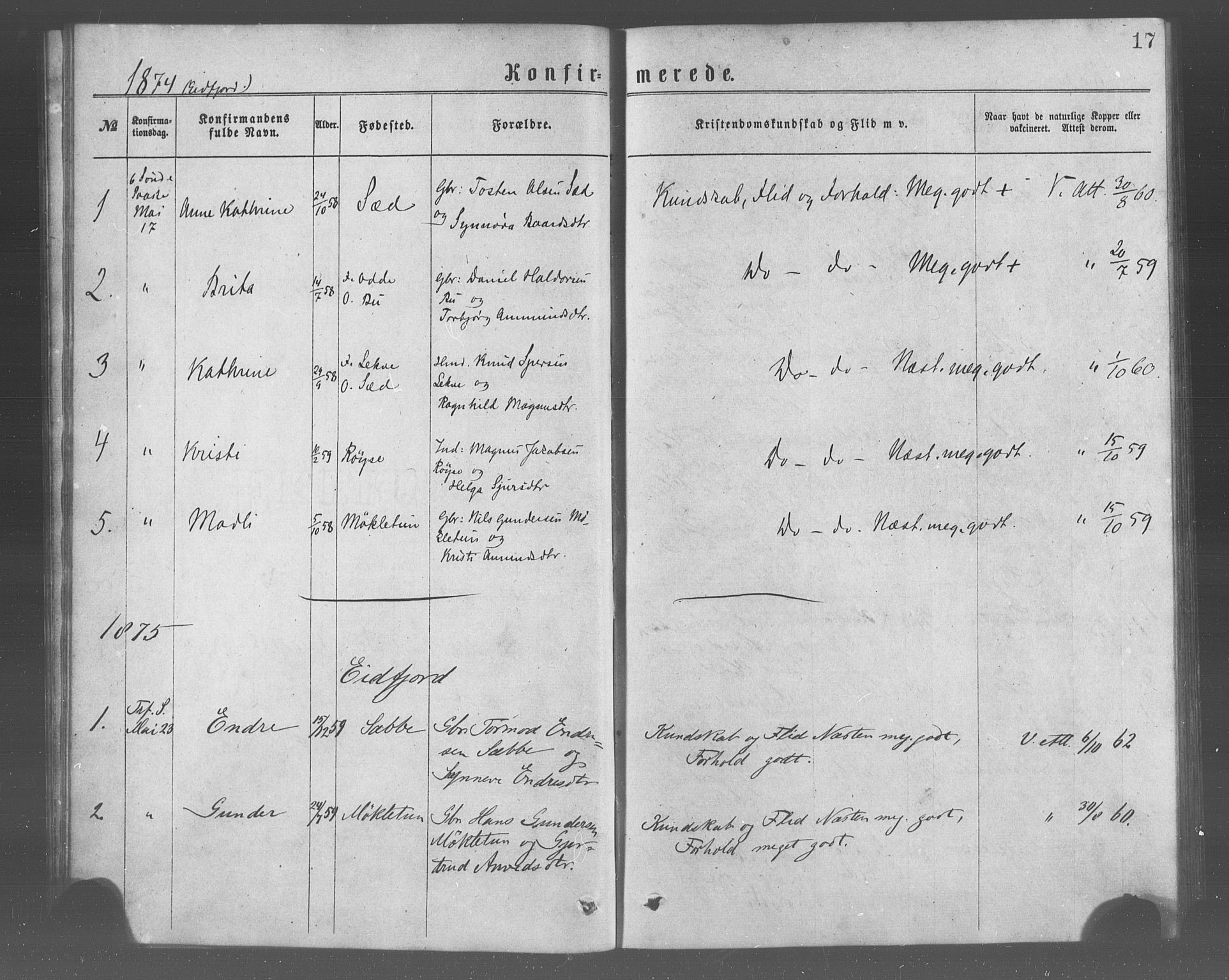 Ulvik sokneprestembete, AV/SAB-A-78801/H/Haa: Parish register (official) no. A 17, 1873-1891, p. 17