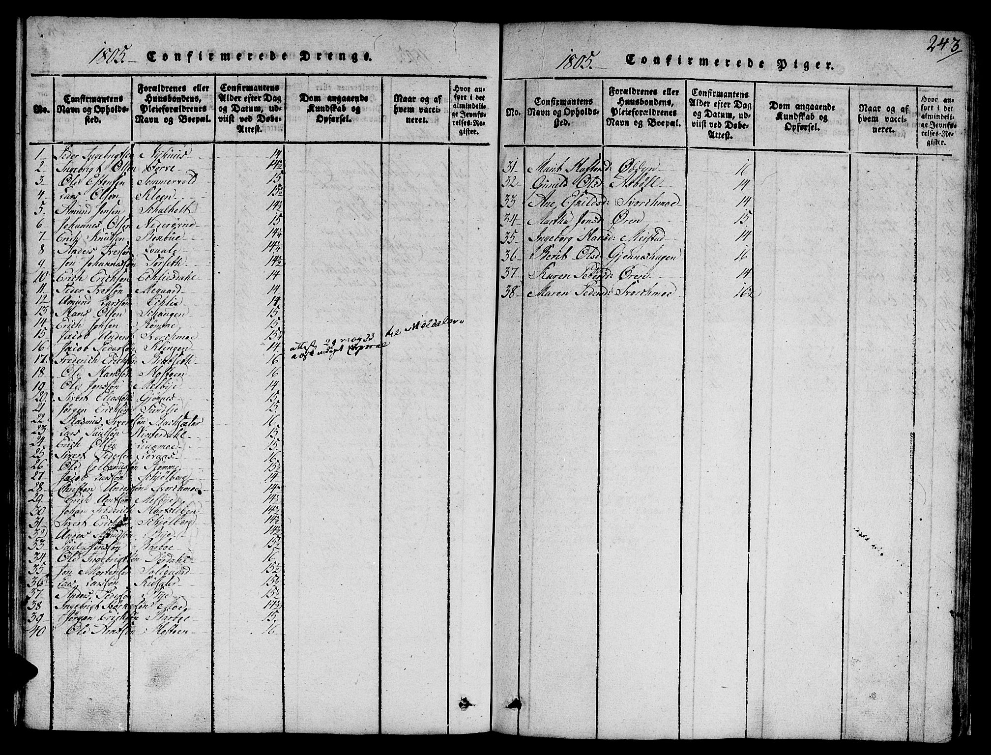 Ministerialprotokoller, klokkerbøker og fødselsregistre - Sør-Trøndelag, SAT/A-1456/668/L0803: Parish register (official) no. 668A03, 1800-1826, p. 243