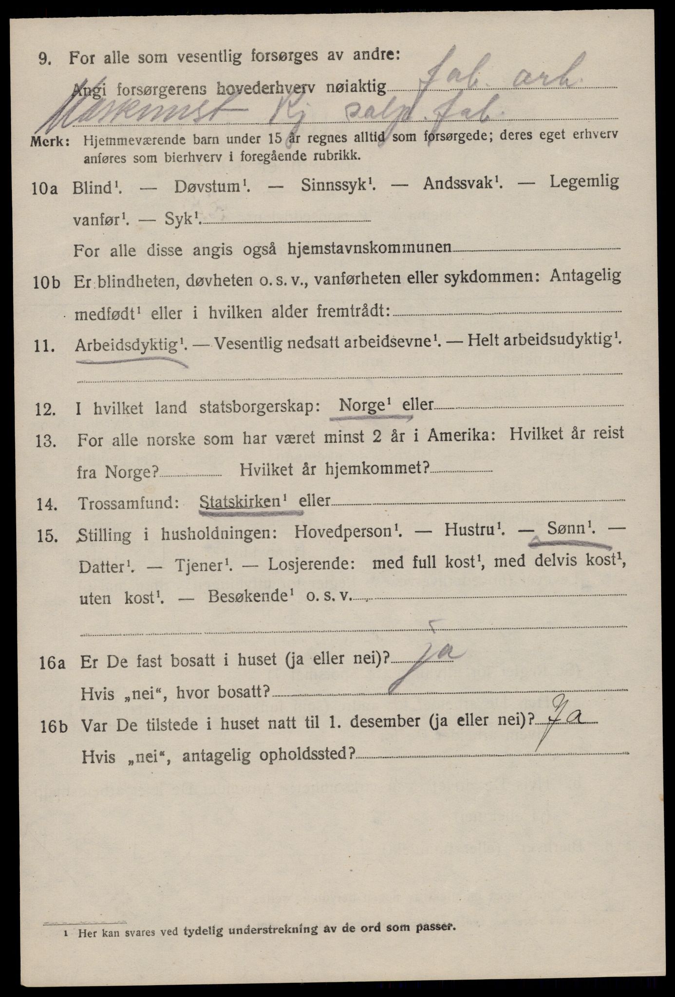 SAKO, 1920 census for Tinn, 1920, p. 19393