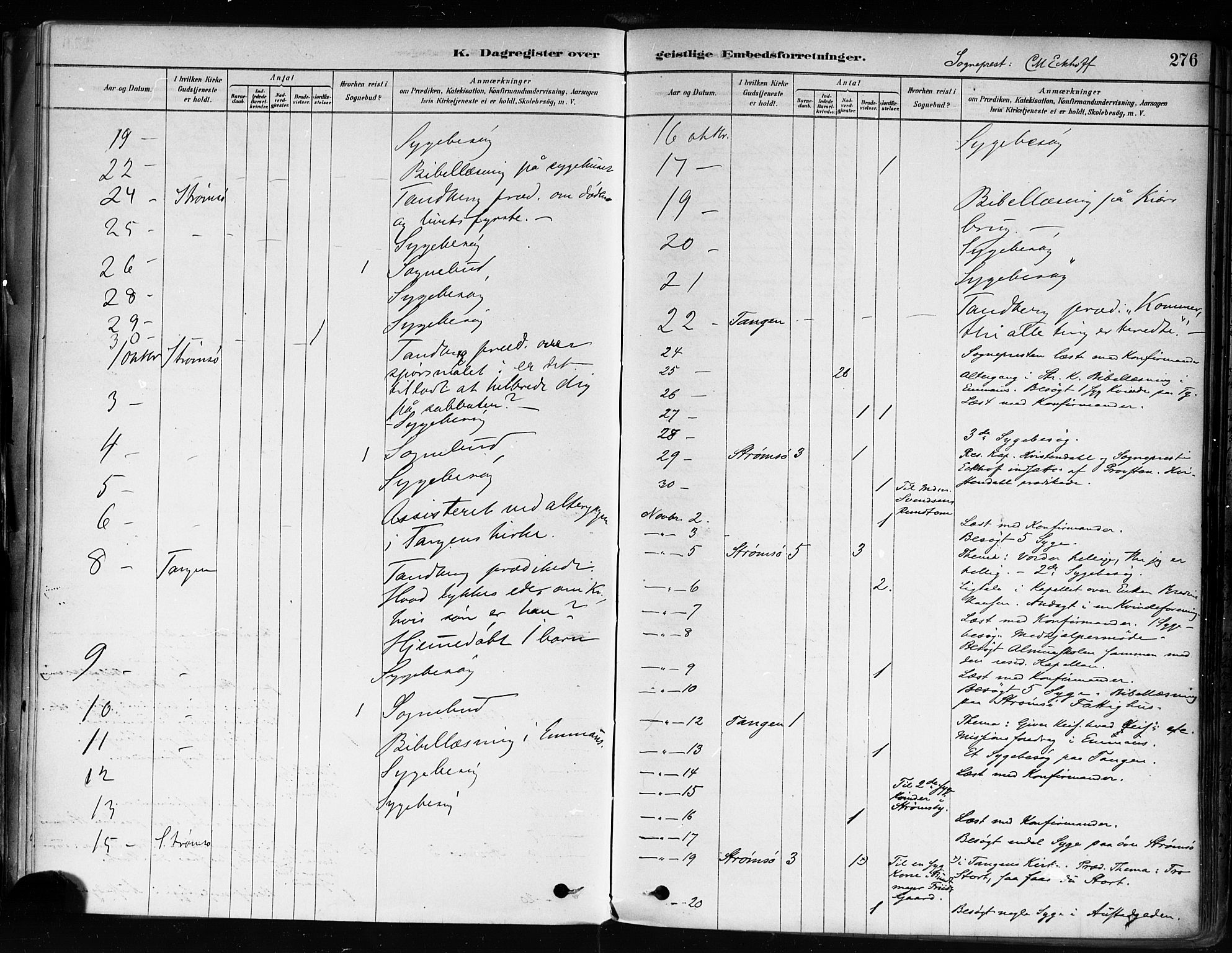 Strømsø kirkebøker, AV/SAKO-A-246/F/Fa/L0022: Parish register (official) no. I 22, 1879-1899, p. 276