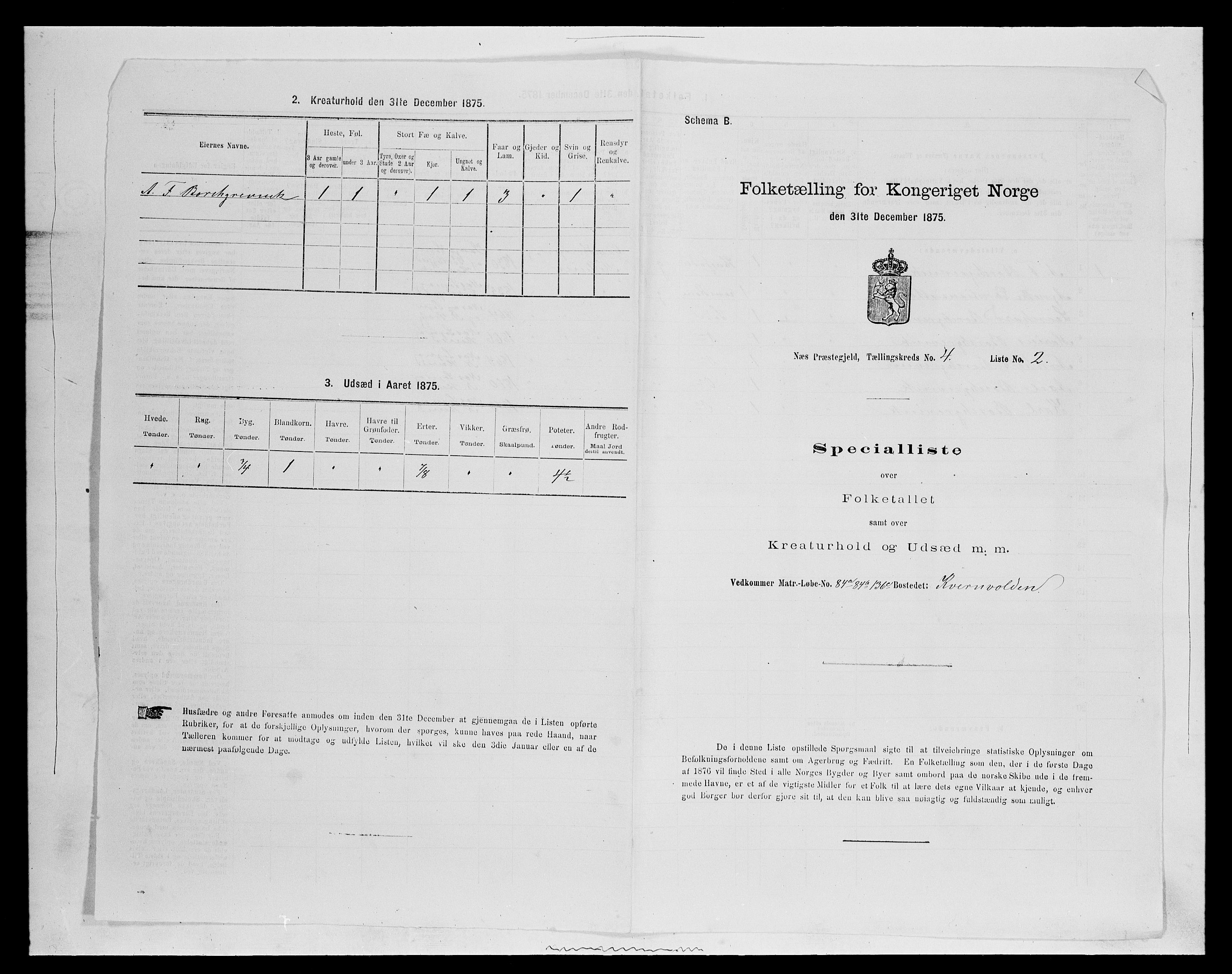 SAH, 1875 census for 0411P Nes, 1875, p. 668