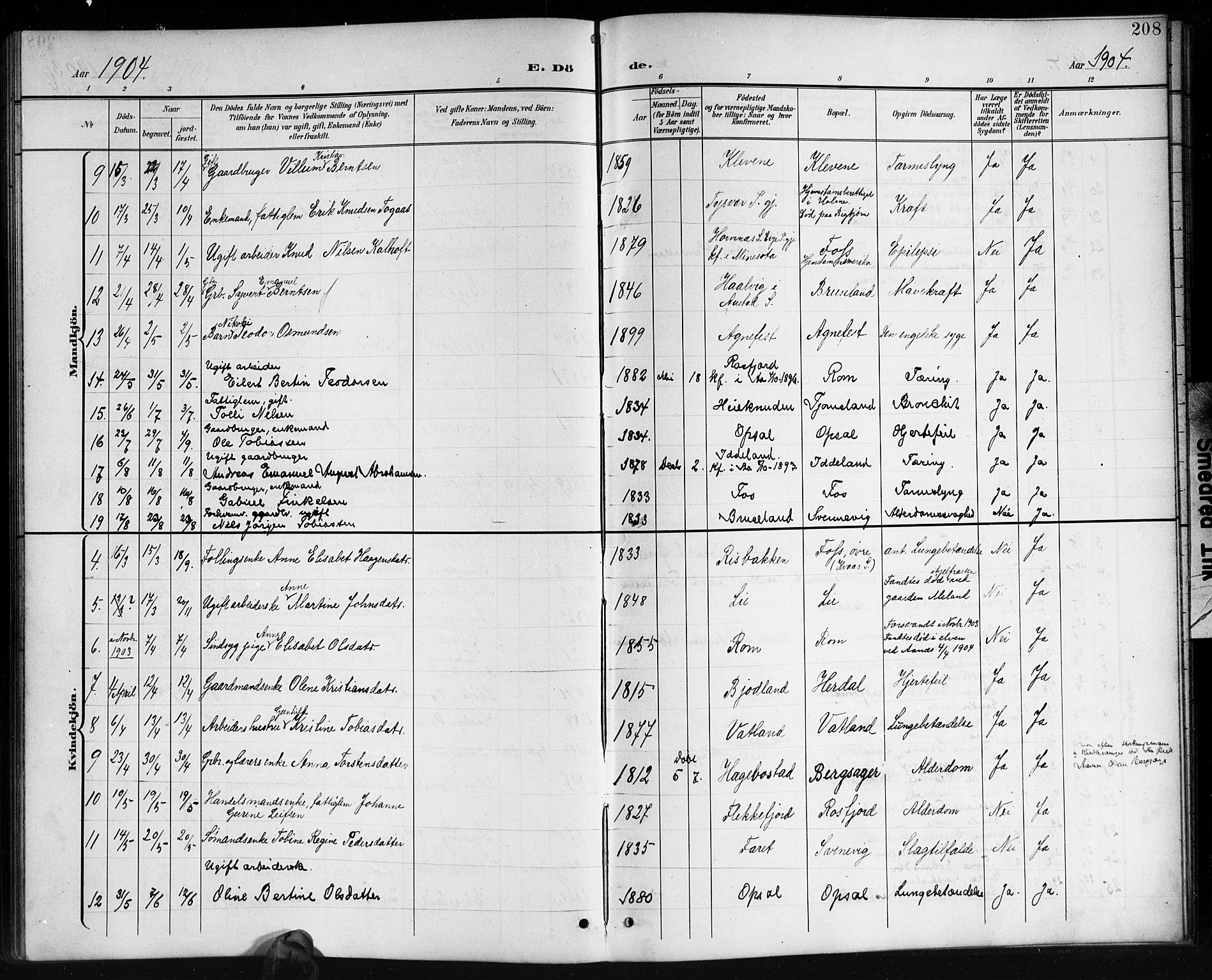 Lyngdal sokneprestkontor, AV/SAK-1111-0029/F/Fb/Fbc/L0005: Parish register (copy) no. B 5, 1897-1913, p. 208