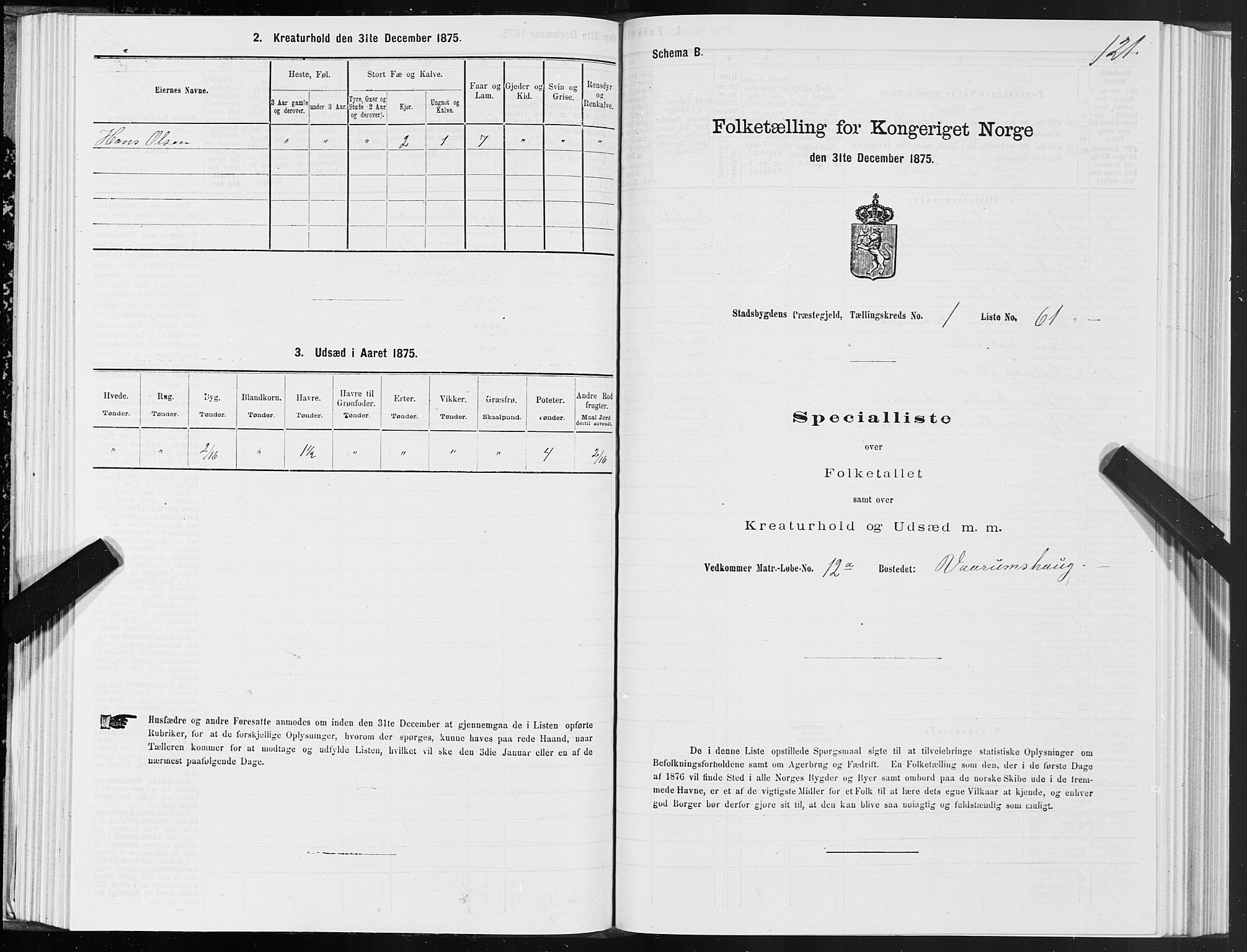 SAT, 1875 census for 1625P Stadsbygd, 1875, p. 1121