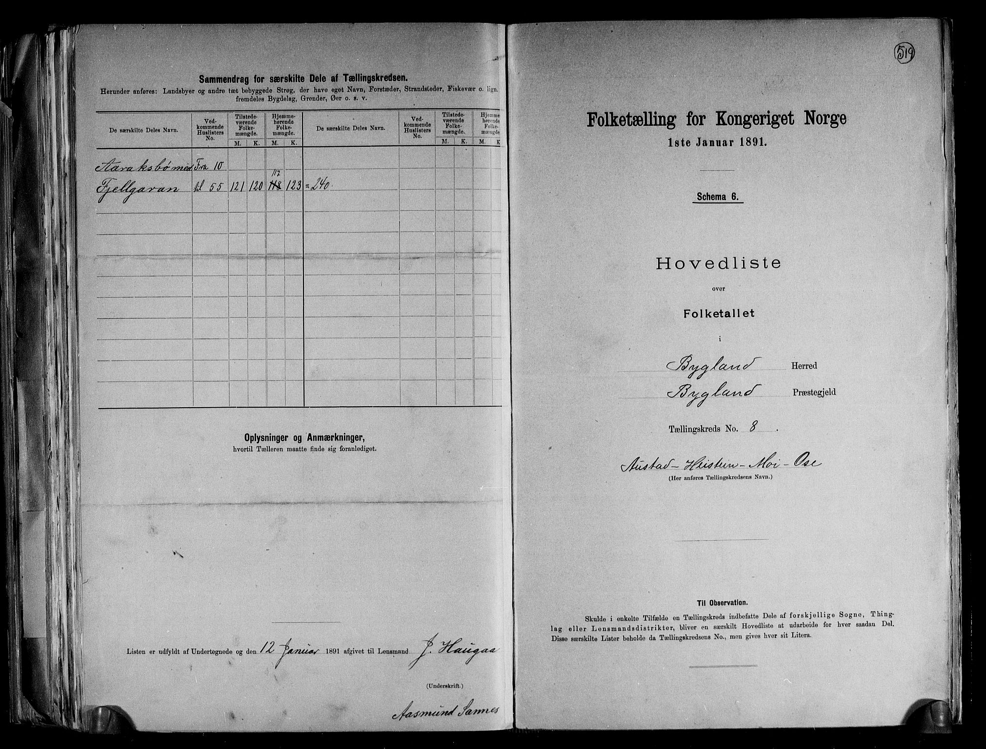 RA, 1891 census for 0938 Bygland, 1891, p. 22