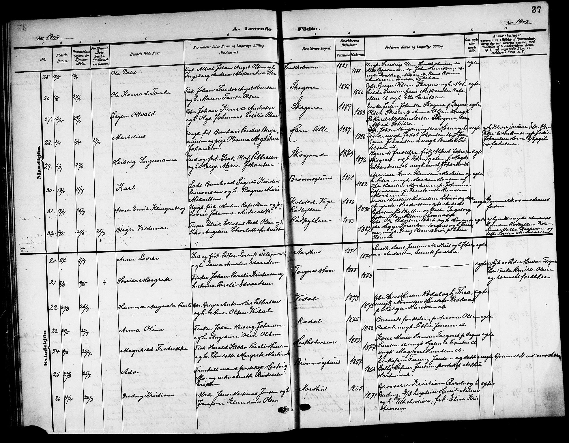 Ministerialprotokoller, klokkerbøker og fødselsregistre - Nordland, AV/SAT-A-1459/813/L0214: Parish register (copy) no. 813C06, 1904-1917, p. 37