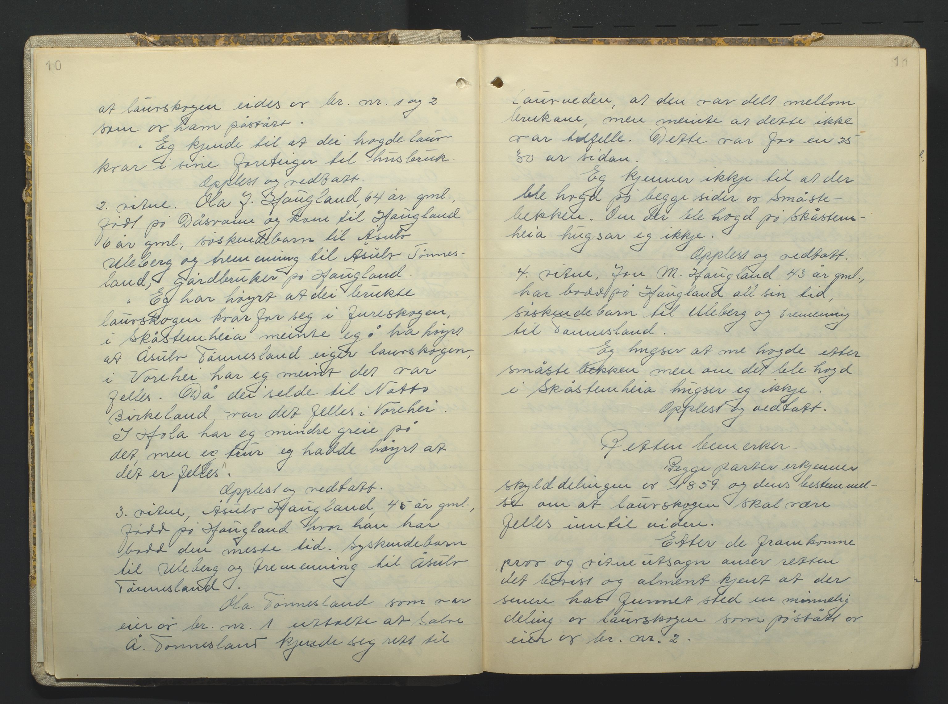 Setesdal jordskifterett, AV/SAK-1541-0008/F/Fa/Faa/L0001: Jordskifteprotokoll med gårdsregister, Setesdal domssokn nr 16, 1952-1958, p. 10-11