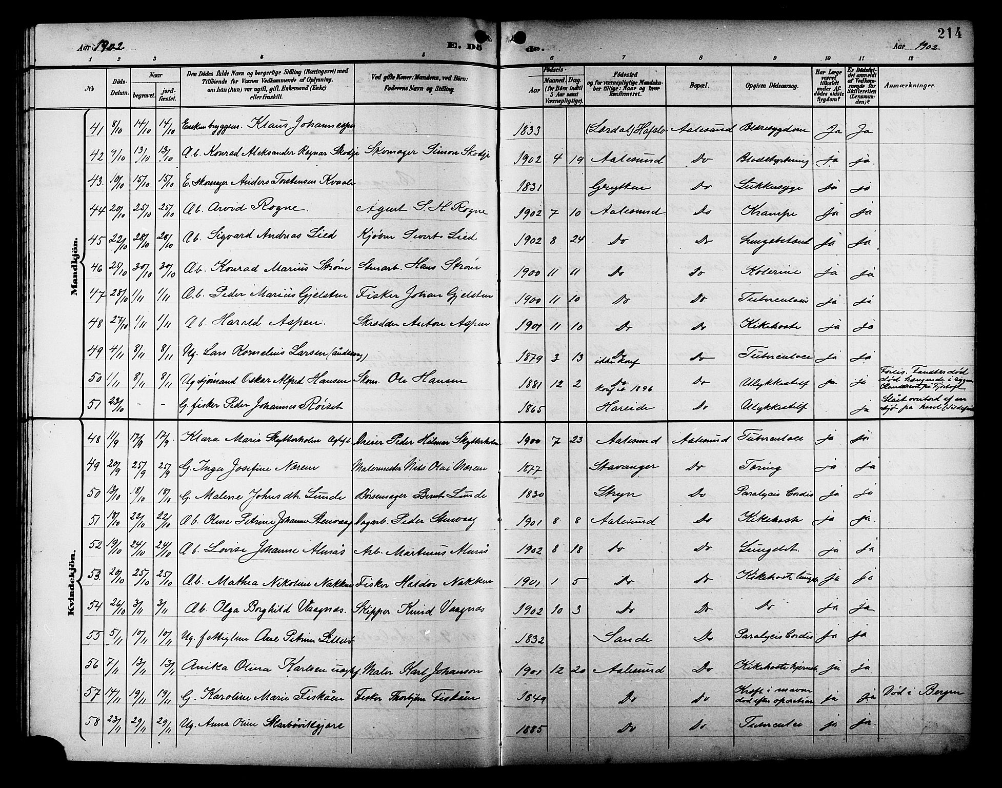 Ministerialprotokoller, klokkerbøker og fødselsregistre - Møre og Romsdal, AV/SAT-A-1454/529/L0469: Parish register (copy) no. 529C06, 1898-1906, p. 214