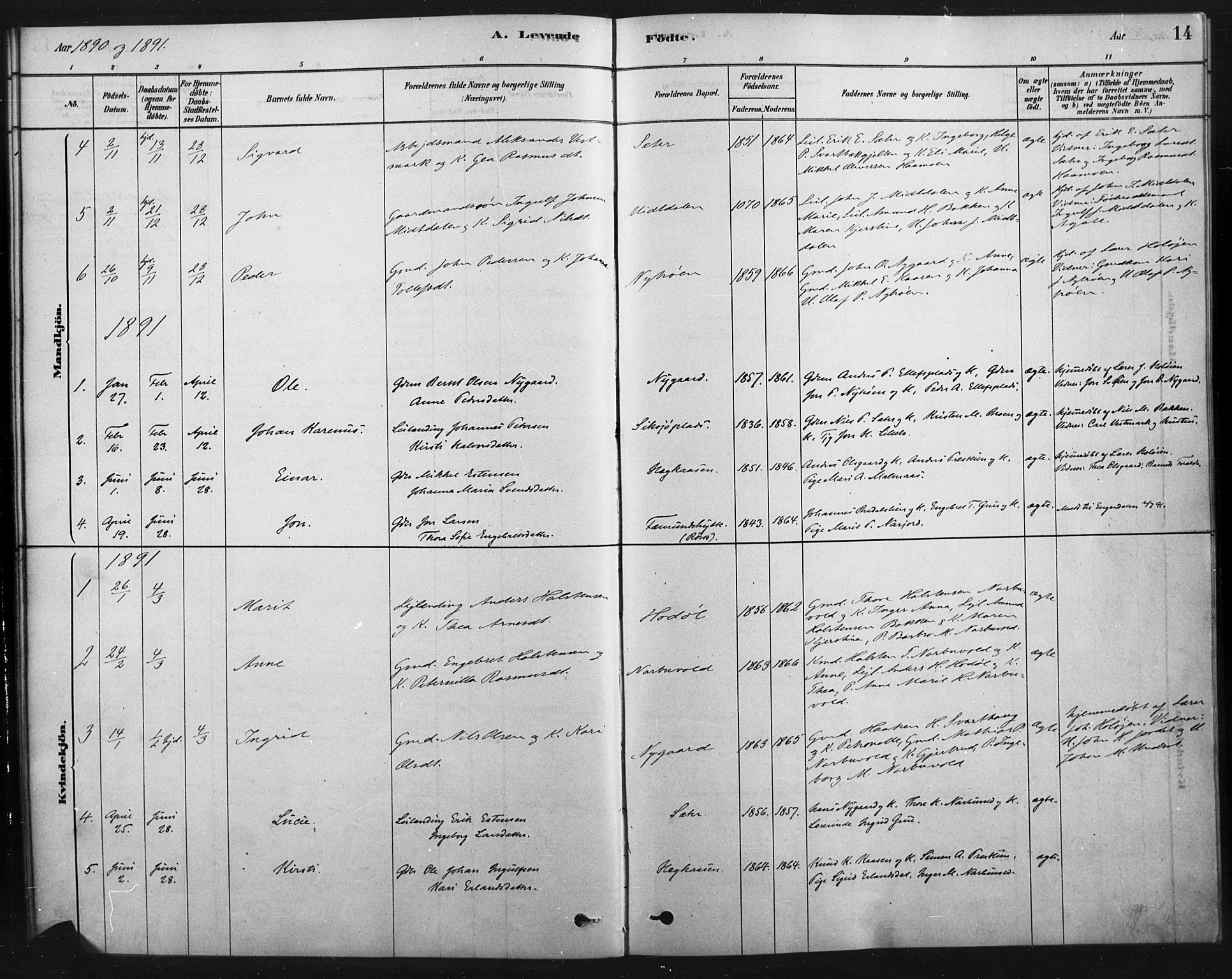 Tolga prestekontor, AV/SAH-PREST-062/K/L0007: Parish register (official) no. 7, 1877-1900, p. 14