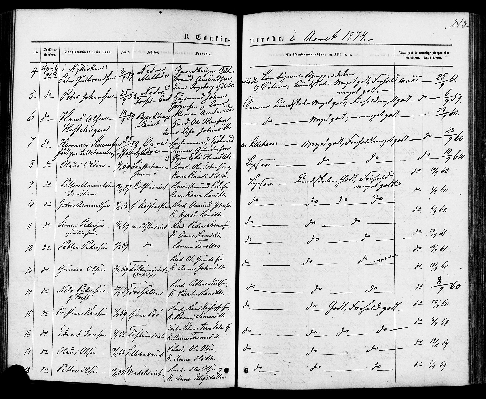 Østre Gausdal prestekontor, AV/SAH-PREST-092/H/Ha/Haa/L0001: Parish register (official) no. 1, 1874-1886, p. 243