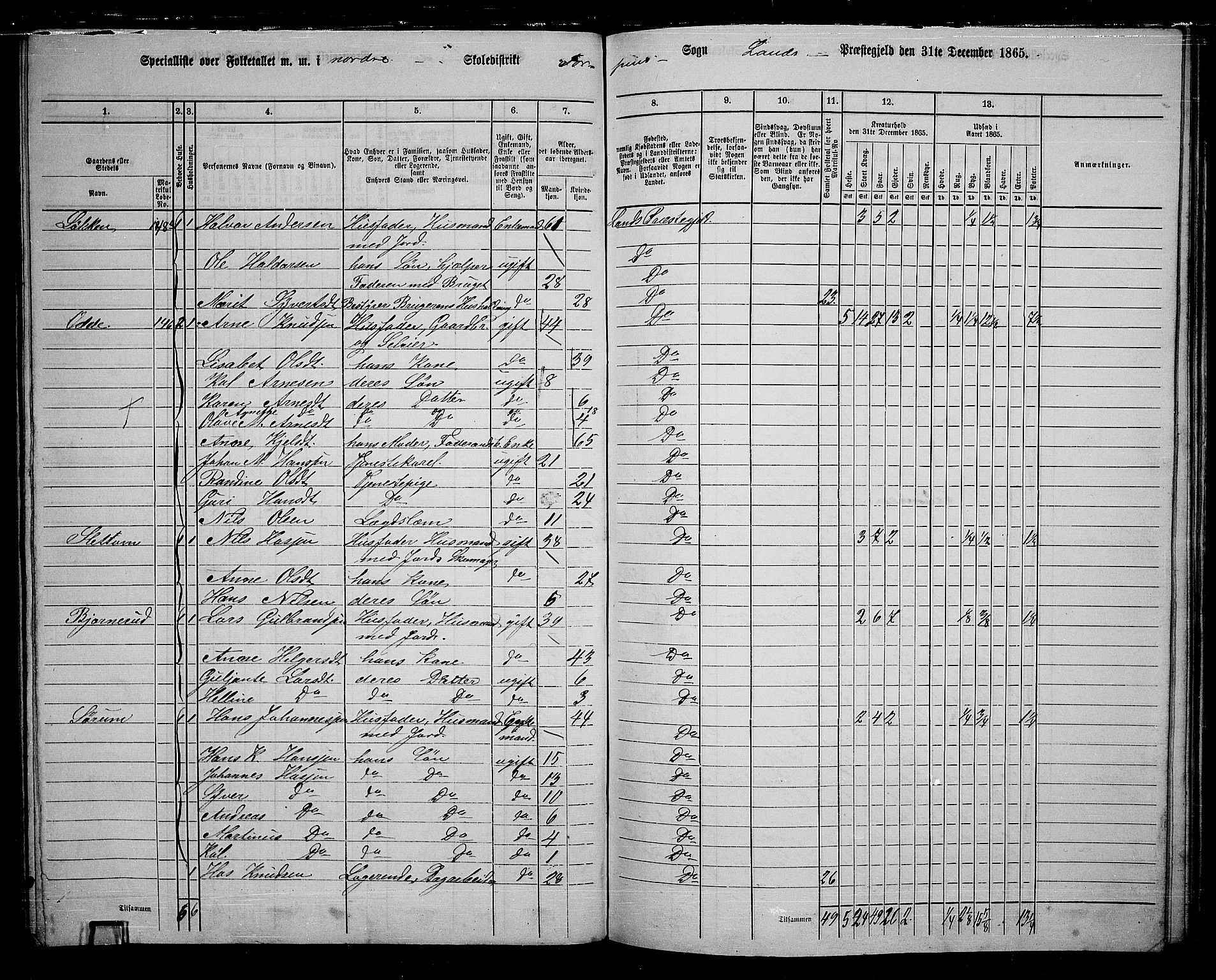 RA, 1865 census for Land, 1865, p. 139