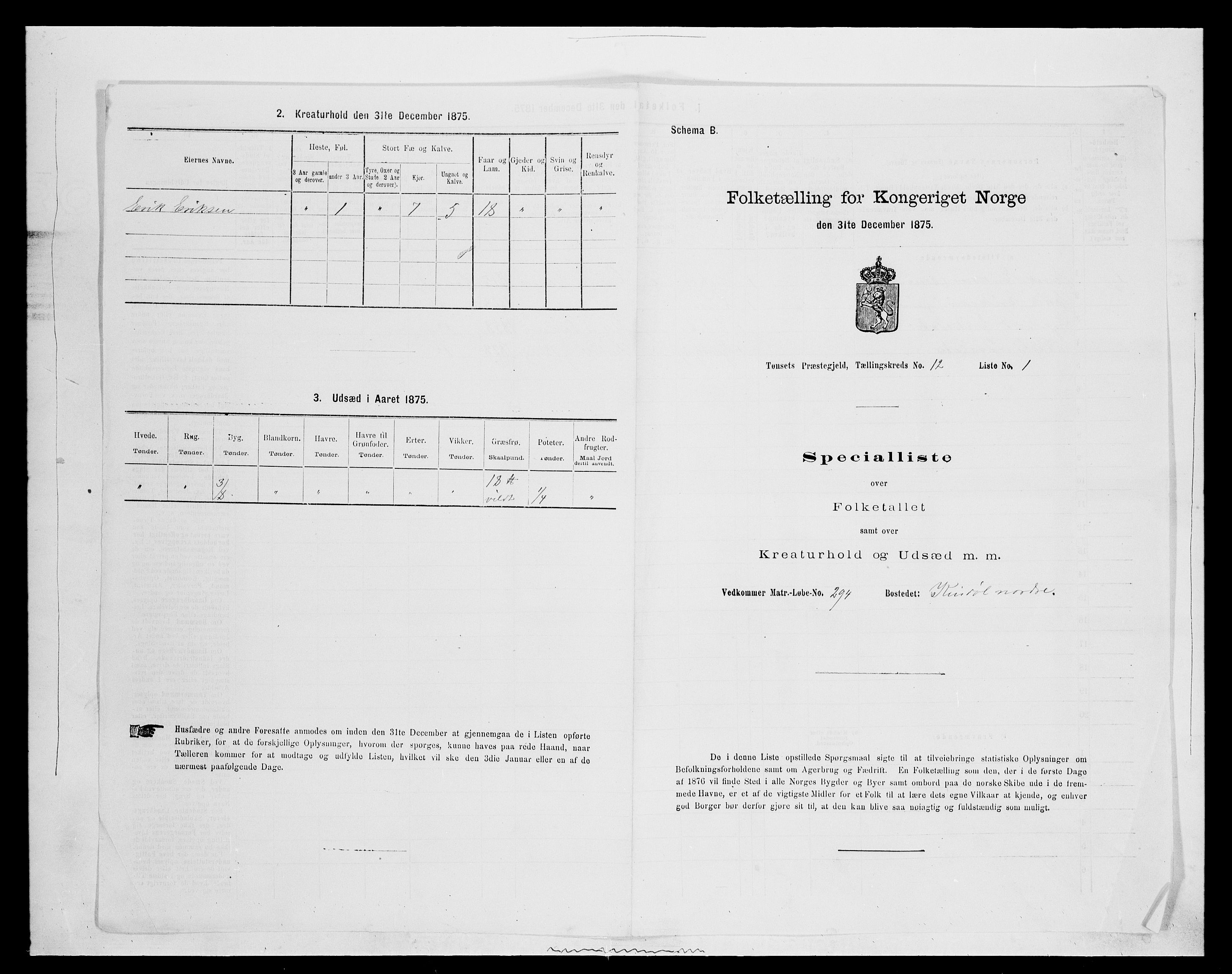 SAH, 1875 census for 0437P Tynset, 1875, p. 1052