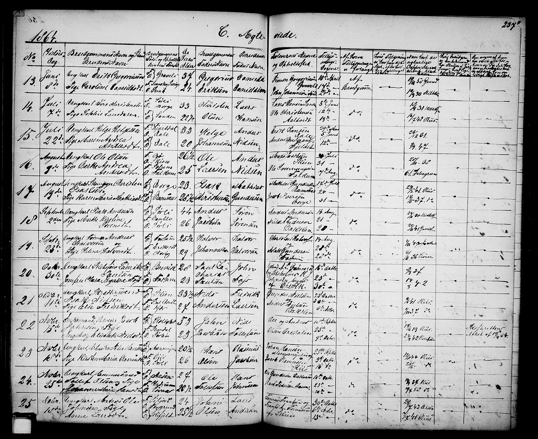 Gjerpen kirkebøker, AV/SAKO-A-265/G/Ga/L0001: Parish register (copy) no. I 1, 1864-1882, p. 237