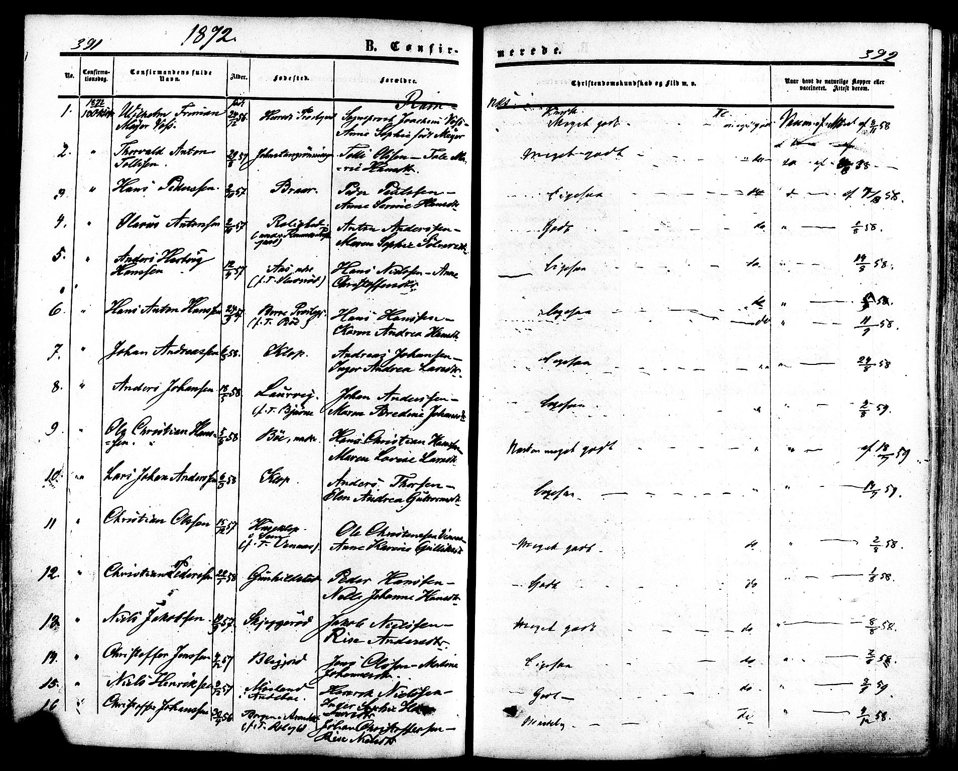 Ramnes kirkebøker, SAKO/A-314/F/Fa/L0006: Parish register (official) no. I 6, 1862-1877, p. 391-392