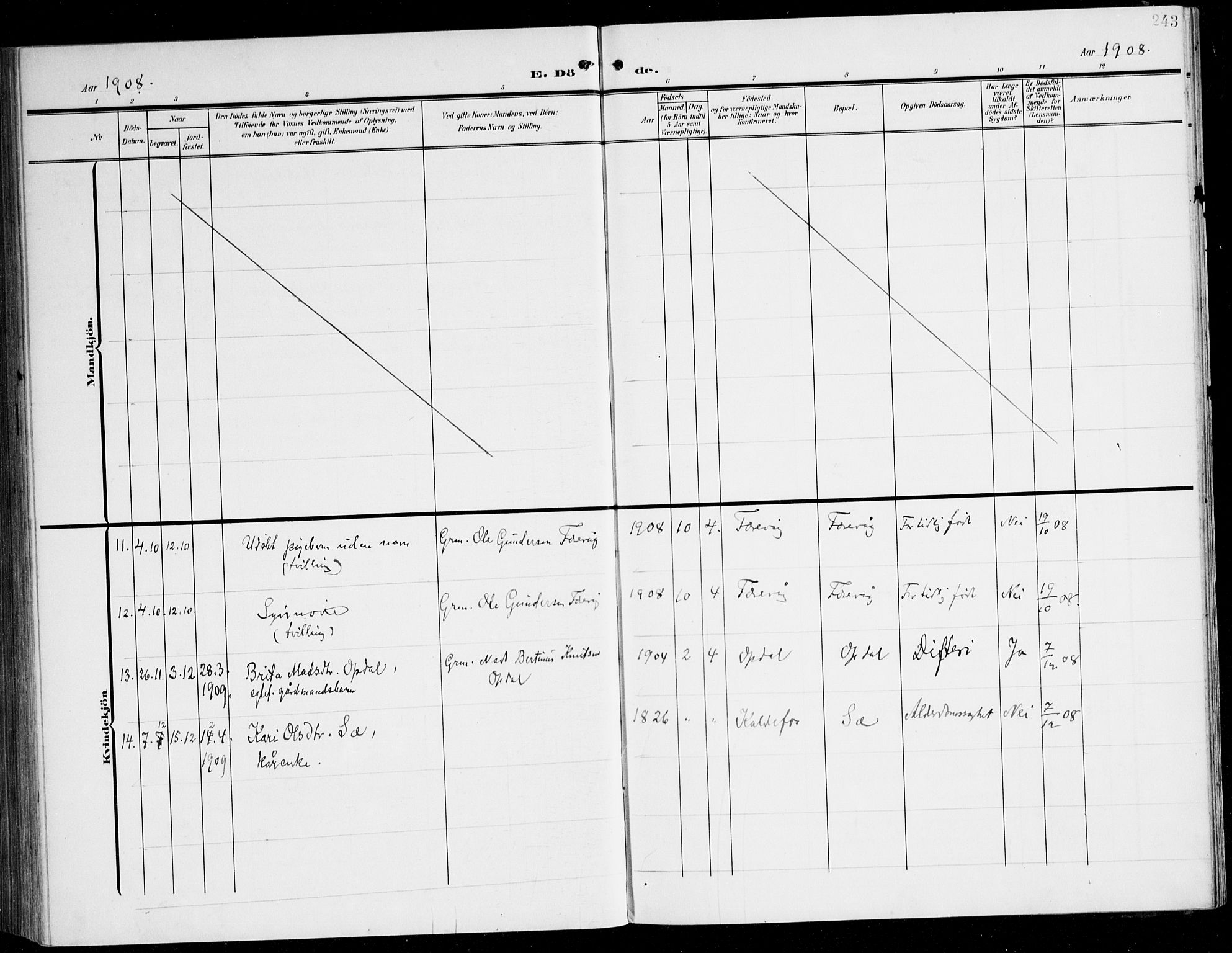 Tysnes sokneprestembete, AV/SAB-A-78601/H/Haa: Parish register (official) no. D 2, 1905-1922, p. 243