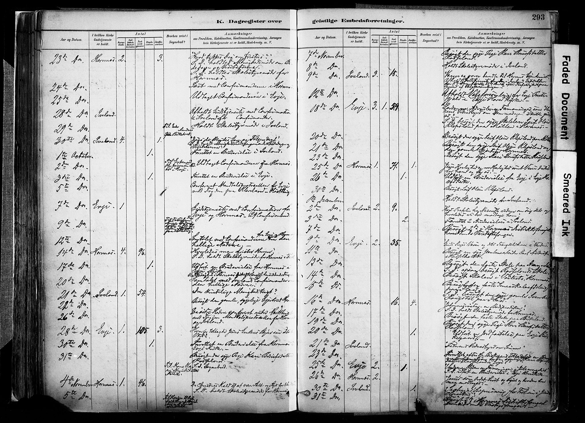 Evje sokneprestkontor, AV/SAK-1111-0008/F/Fa/Faa/L0007: Parish register (official) no. A 7, 1884-1909, p. 293