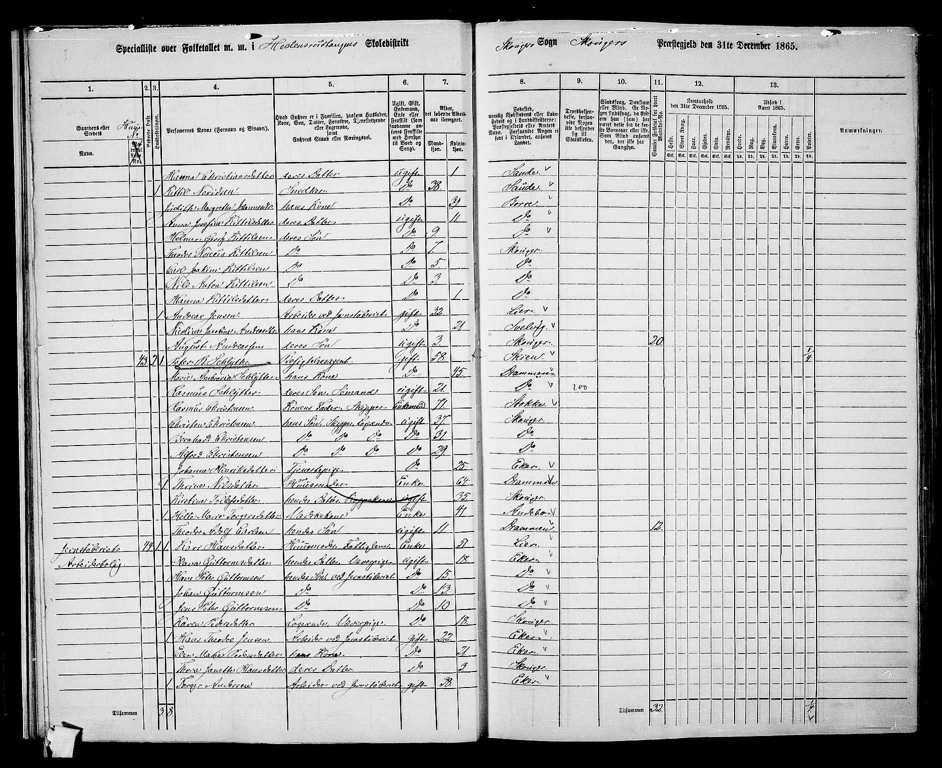 RA, 1865 census for Skoger, 1865, p. 27