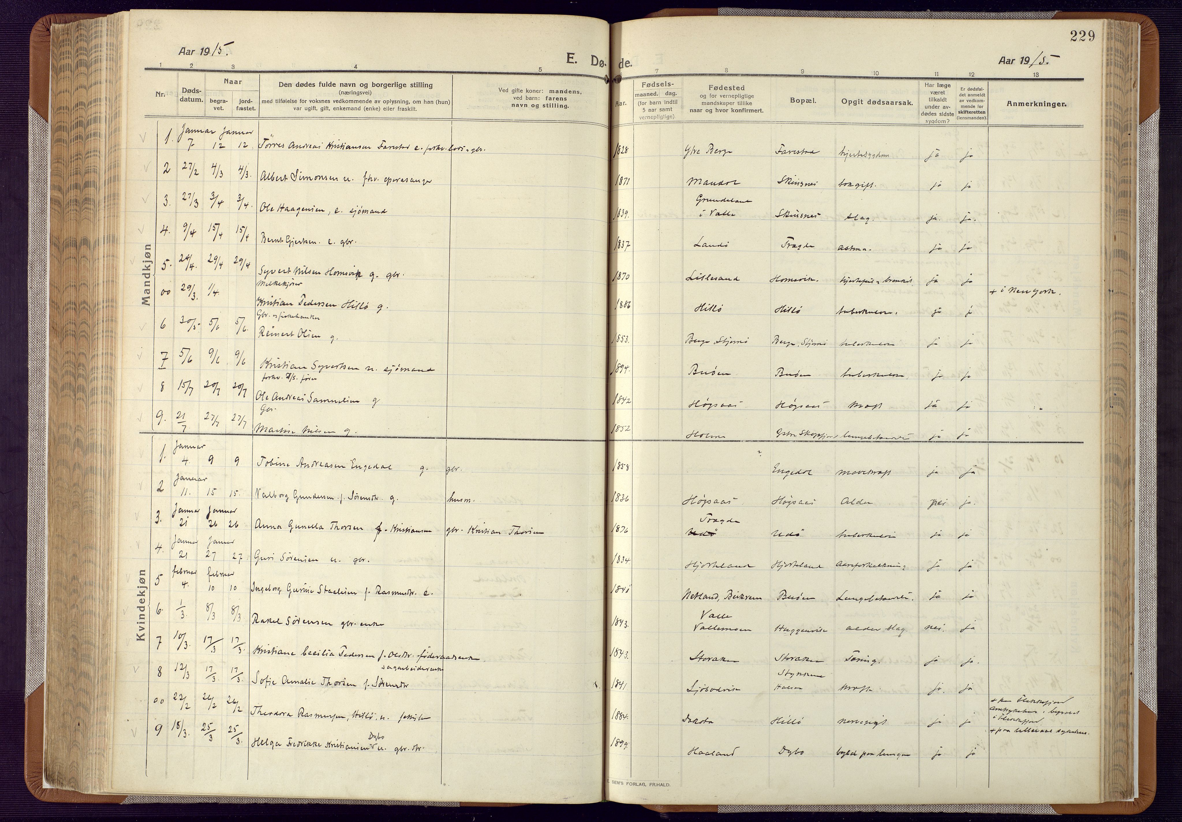 Mandal sokneprestkontor, SAK/1111-0030/F/Fa/Faa/L0022: Parish register (official) no. A 22, 1913-1925, p. 229