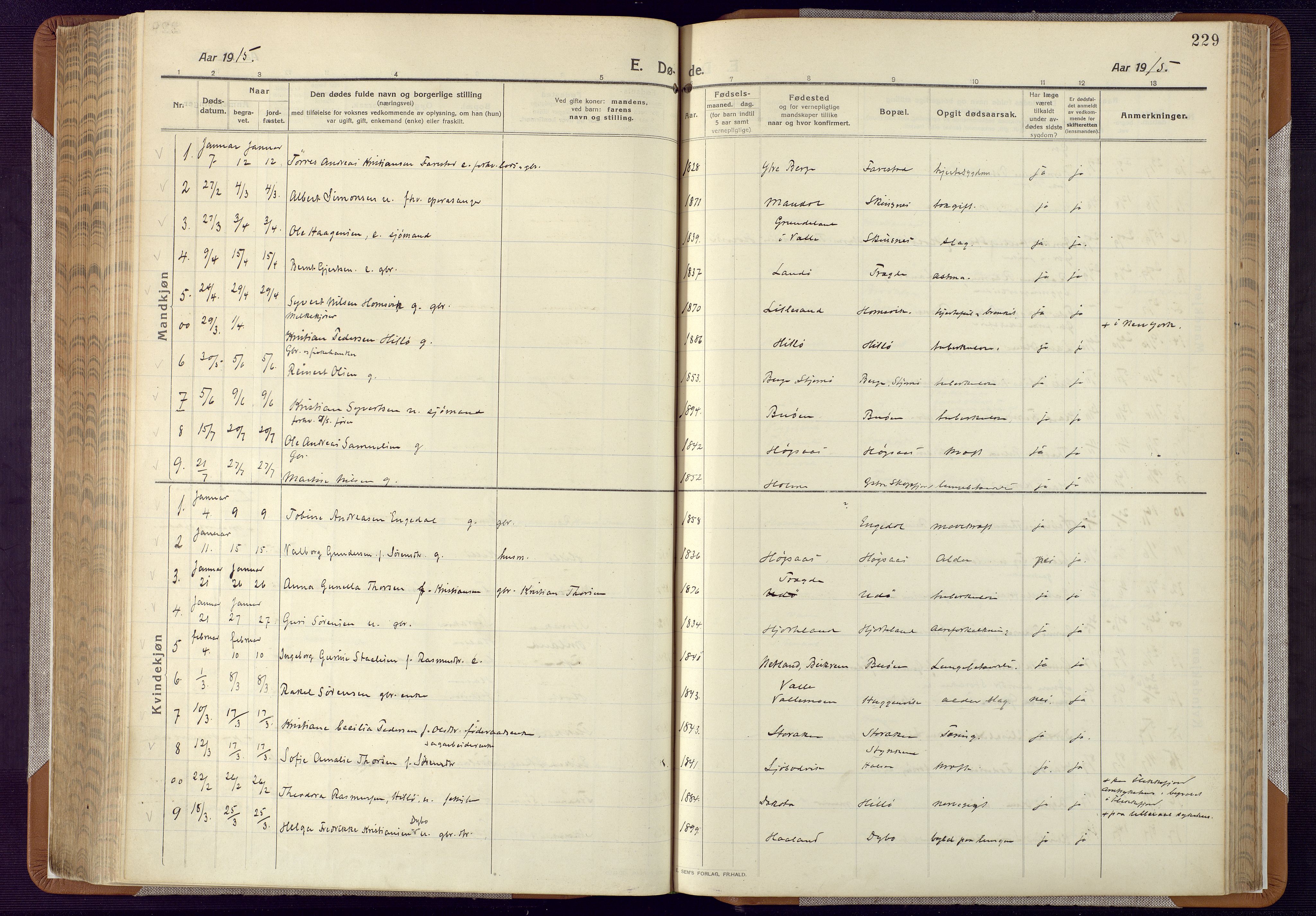 Mandal sokneprestkontor, AV/SAK-1111-0030/F/Fa/Faa/L0022: Parish register (official) no. A 22, 1913-1925, p. 229