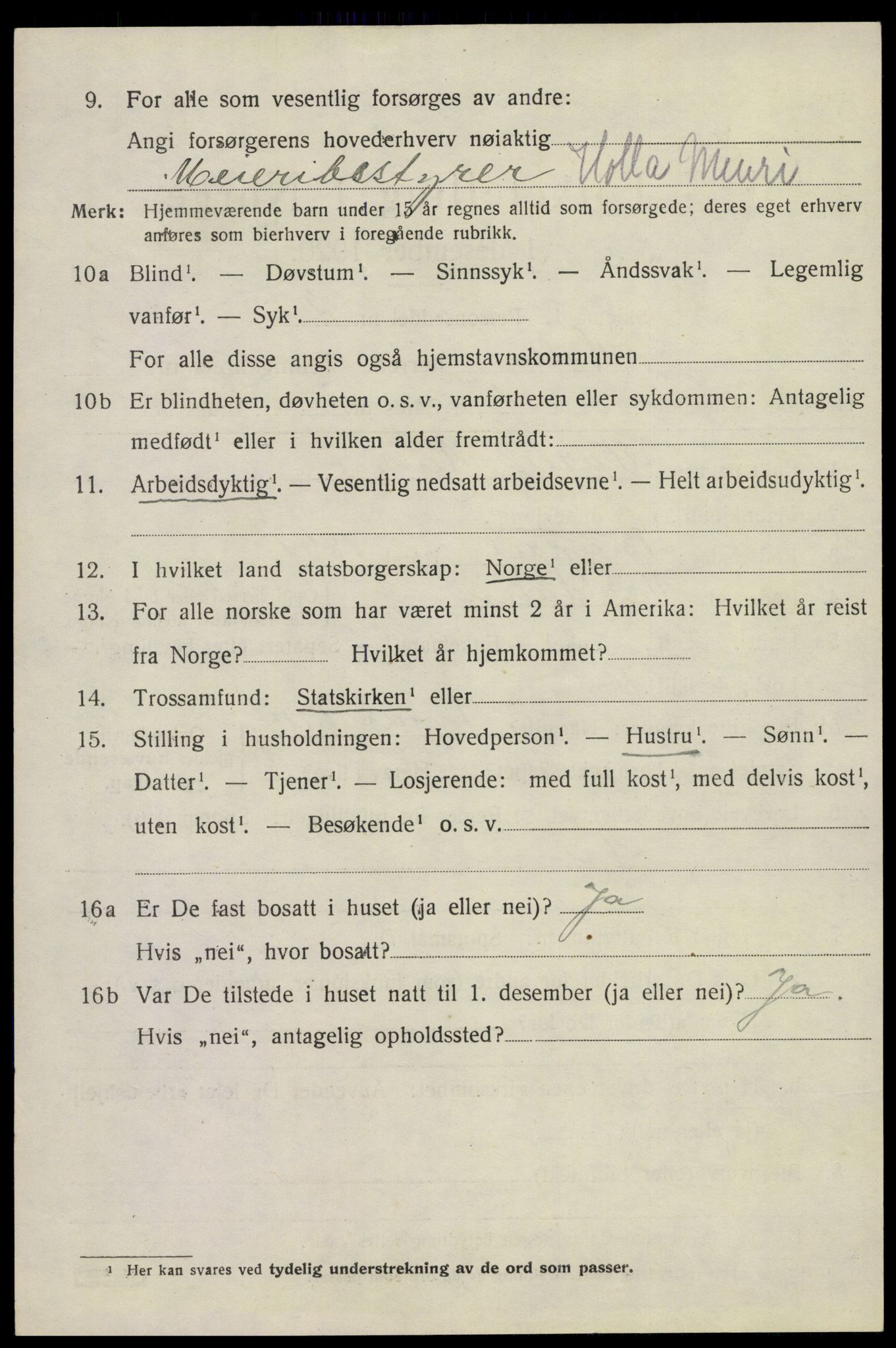 SAKO, 1920 census for Holla, 1920, p. 1738